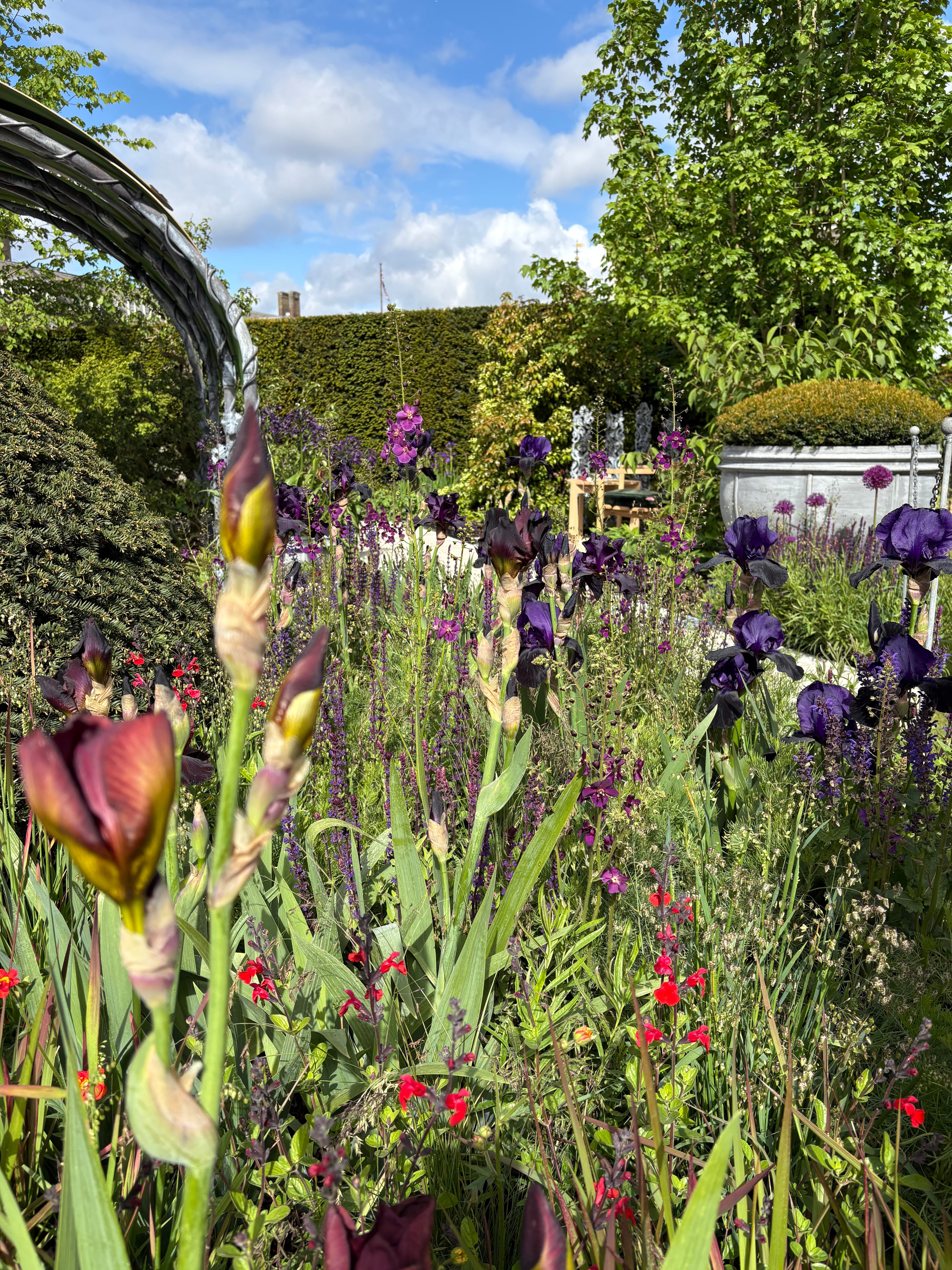 Examples of looser planting at Chelsea