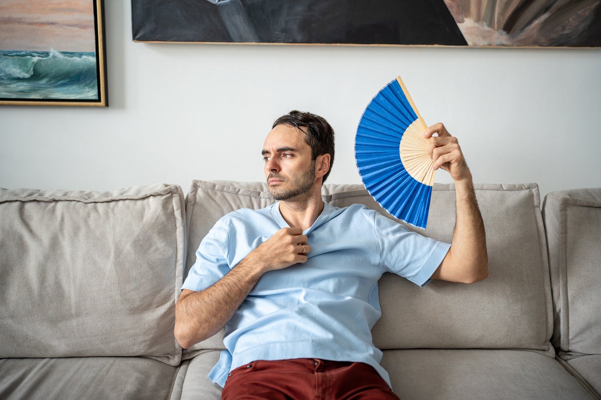 Heatwaves be damned: Is aircon still an uncool buy?