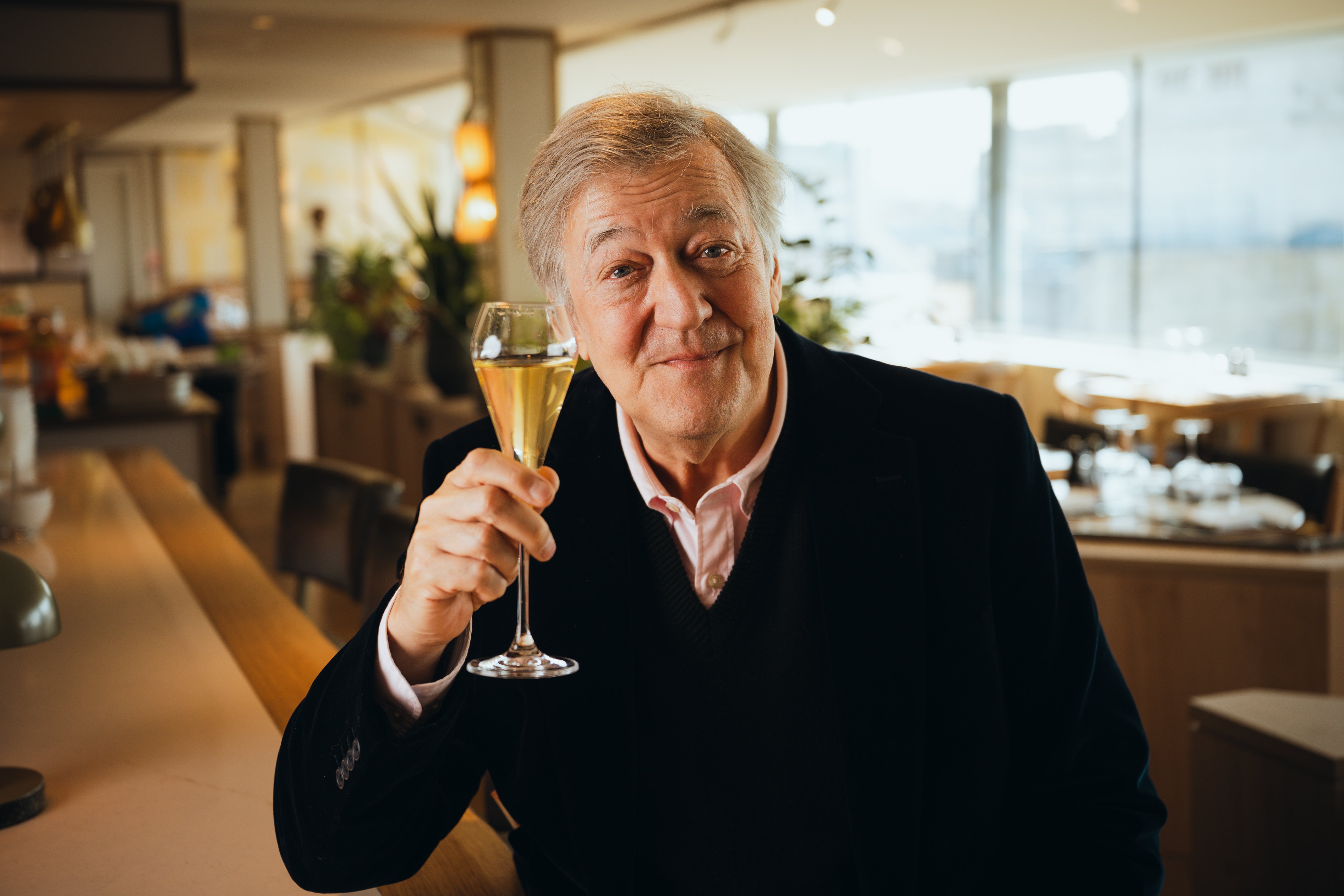 <p>Stephen Fry says raising a toast to loved ones on Celebration Day can bring "comfort, connection, and the reminder that we are not alone."</p>