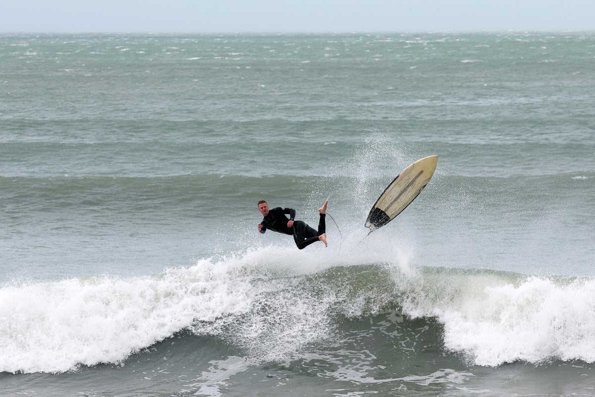 Mystery sea creature attack on photographer halts New Zealand surfing contest