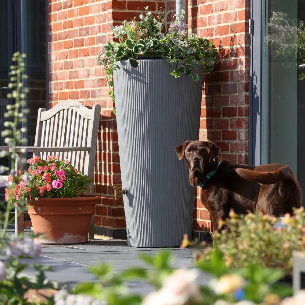 Grey water butt with integrated planter