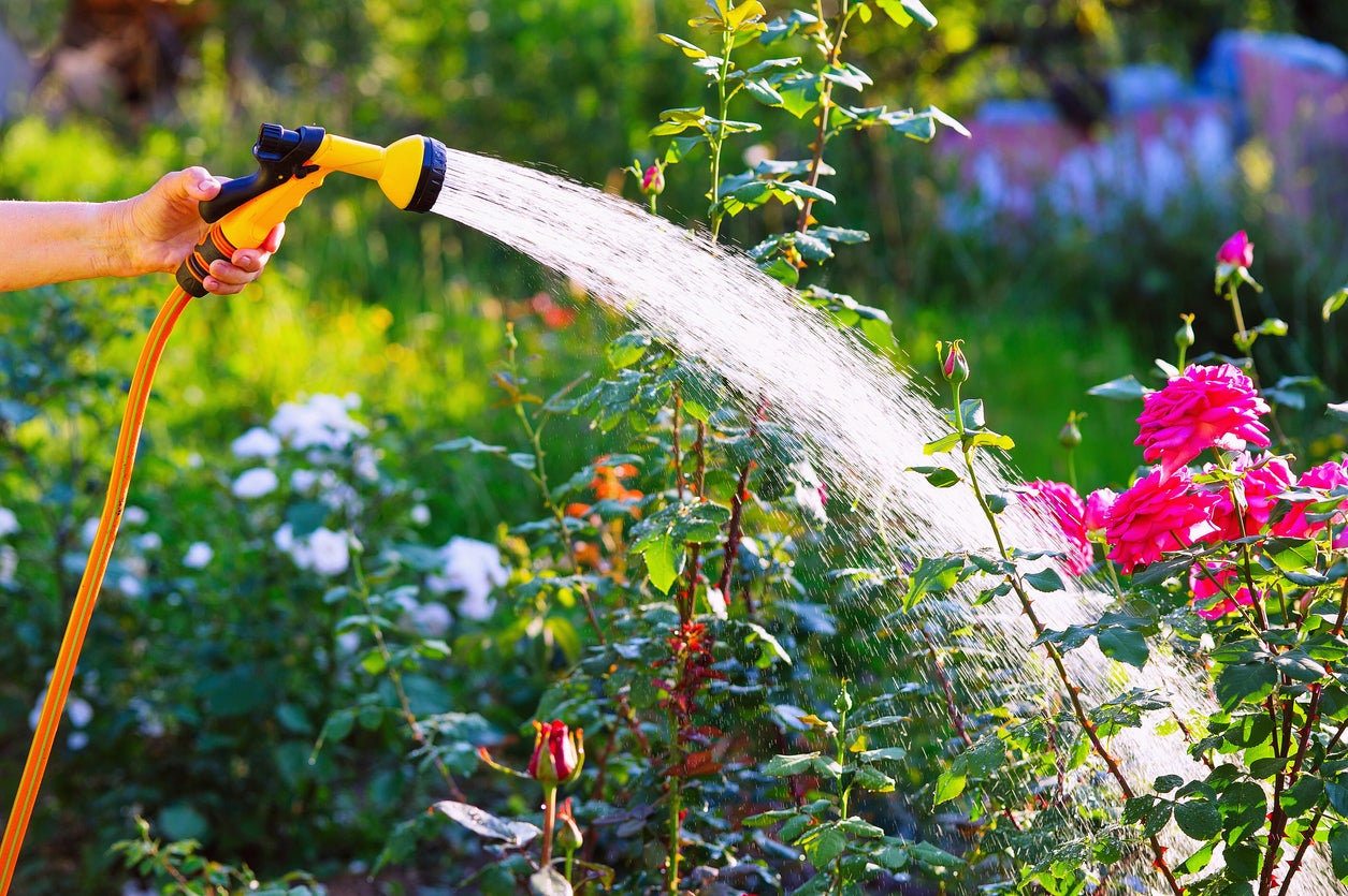 Learning gardening skills can be a hobby that helps boost your brain health