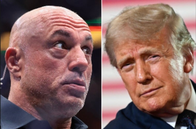Rogan and Trump person remained allies, contempt nan podcaster’s occasional disapproval of nan president