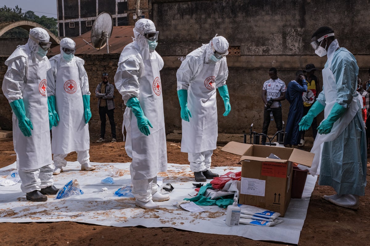 WHO chief calls for ‘immediate ceasefire' in Democratic Republic of Congo as number of suspected Ebola cases nears 1,000