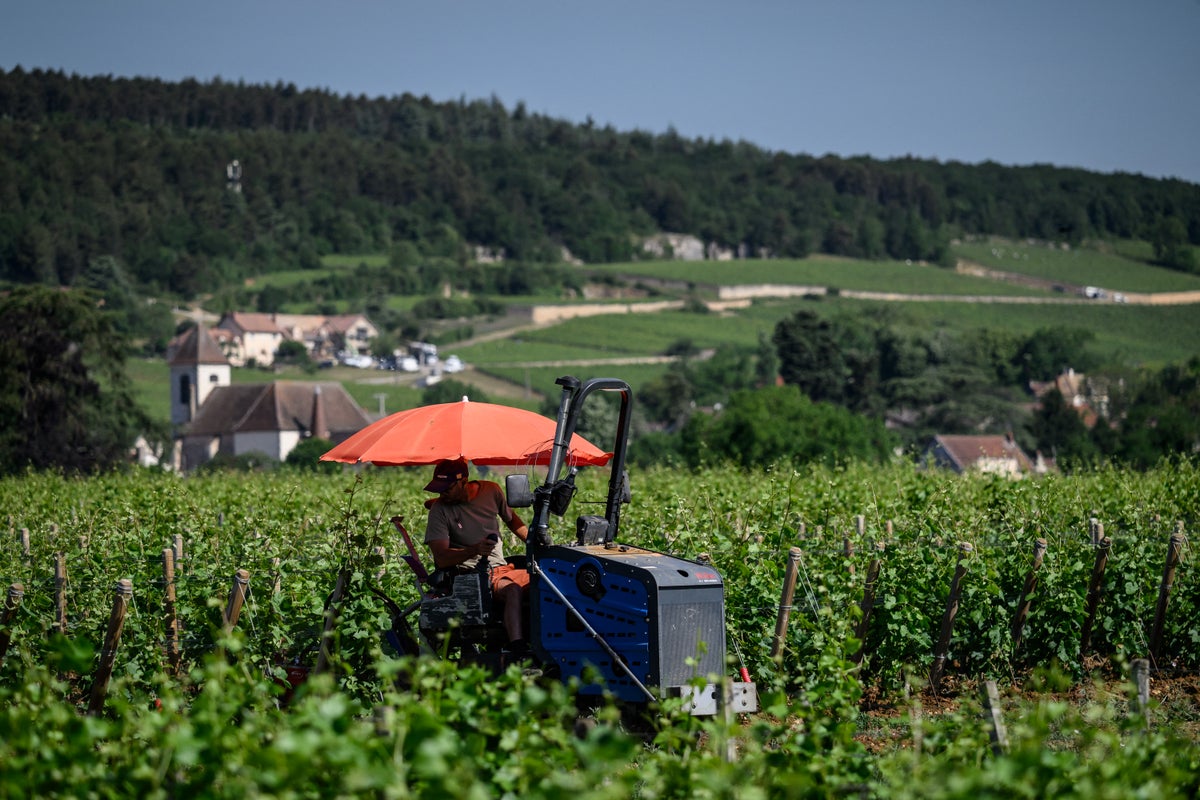The scorching May heatwaves are here to stay. And Northern Europe is totally unprepared