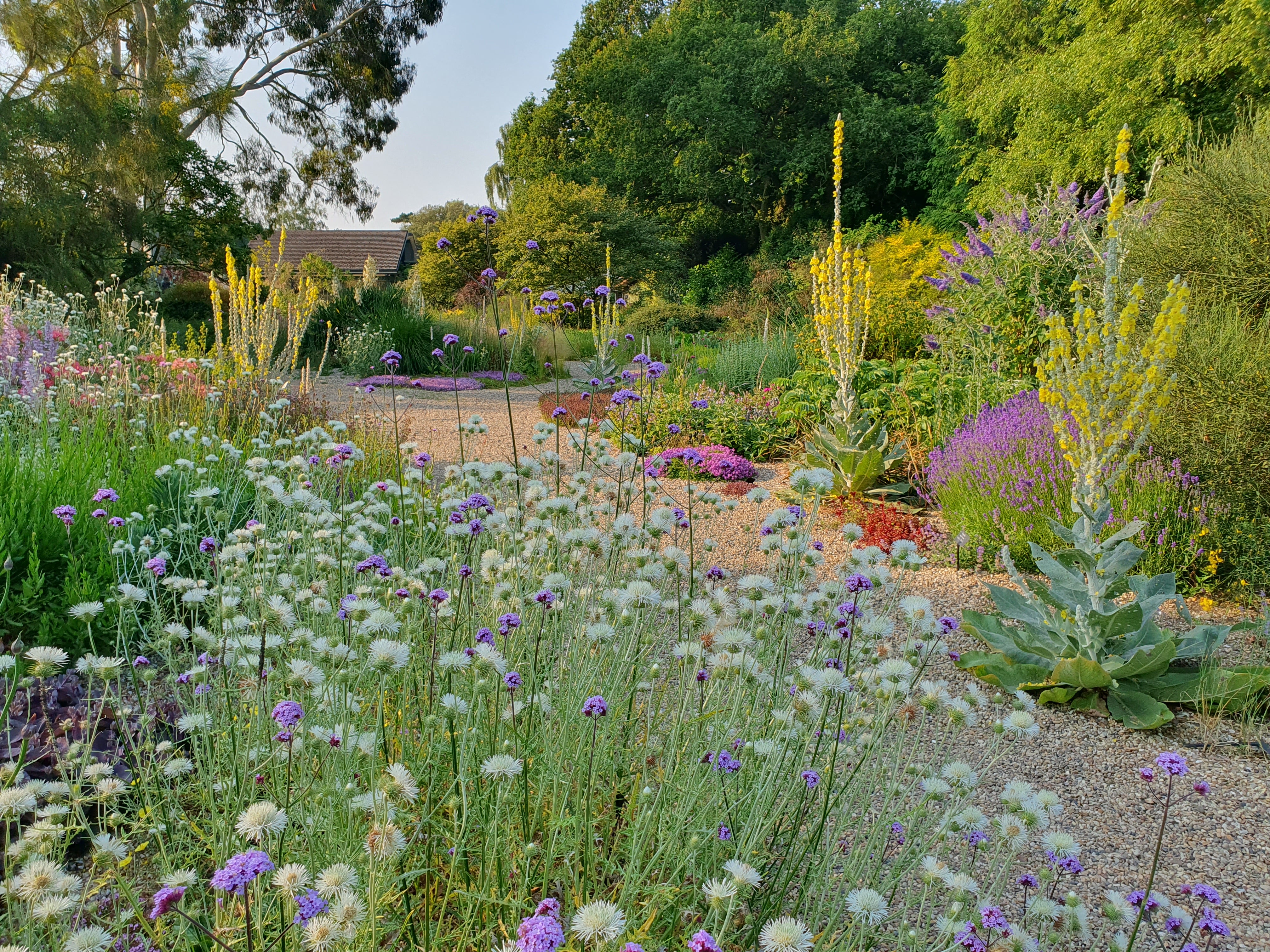 Beth Chatto’s gravel garden (Julie Skelton/PA)