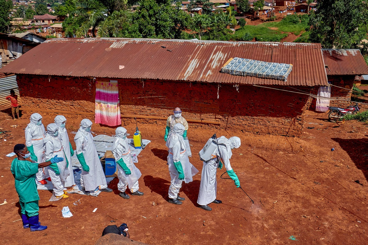 Ebola crisis shows that aid cuts have been ‘counterproductive,' UK development minister admits