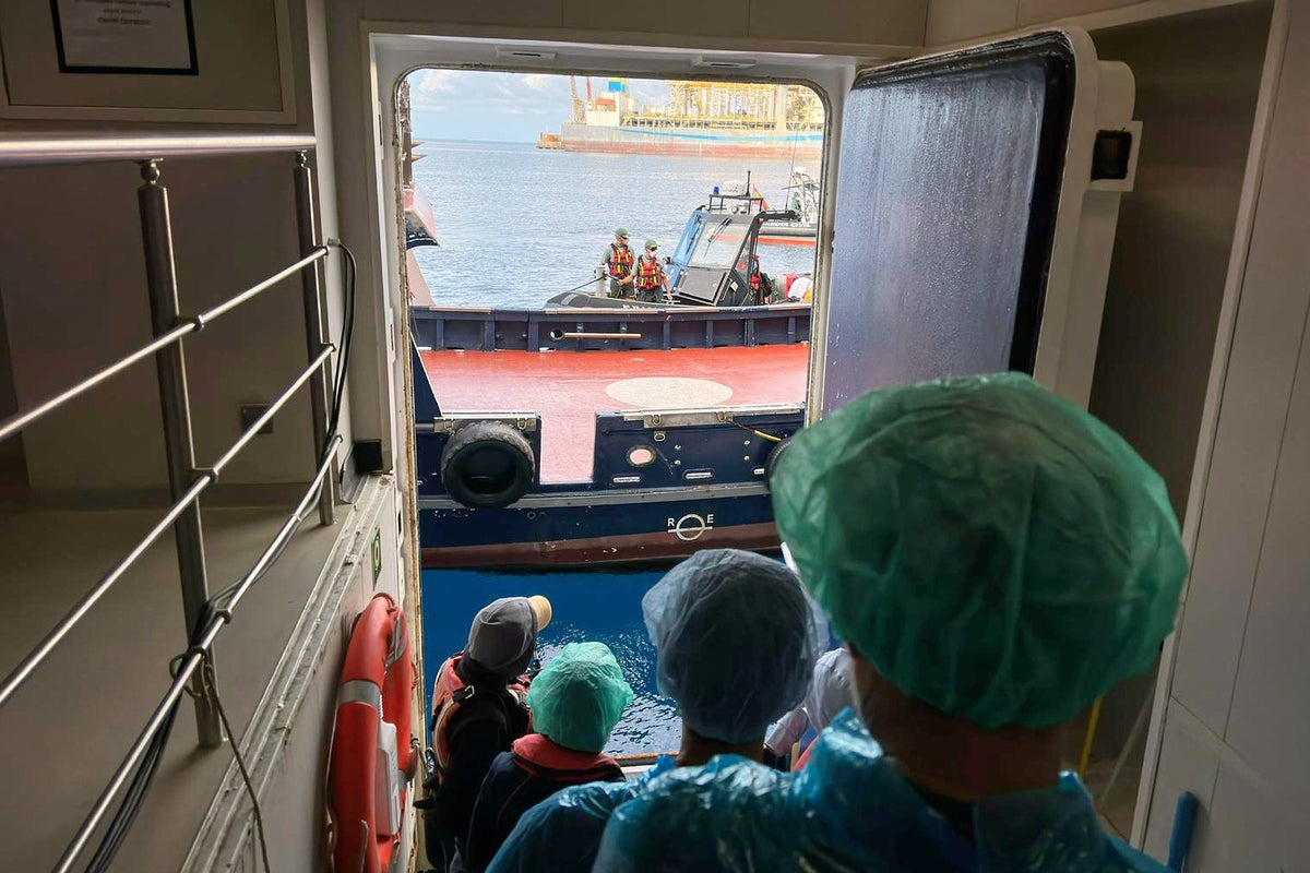A cruise ship outbreak made the world aware of hantavirus. Scientists want to use this new fame