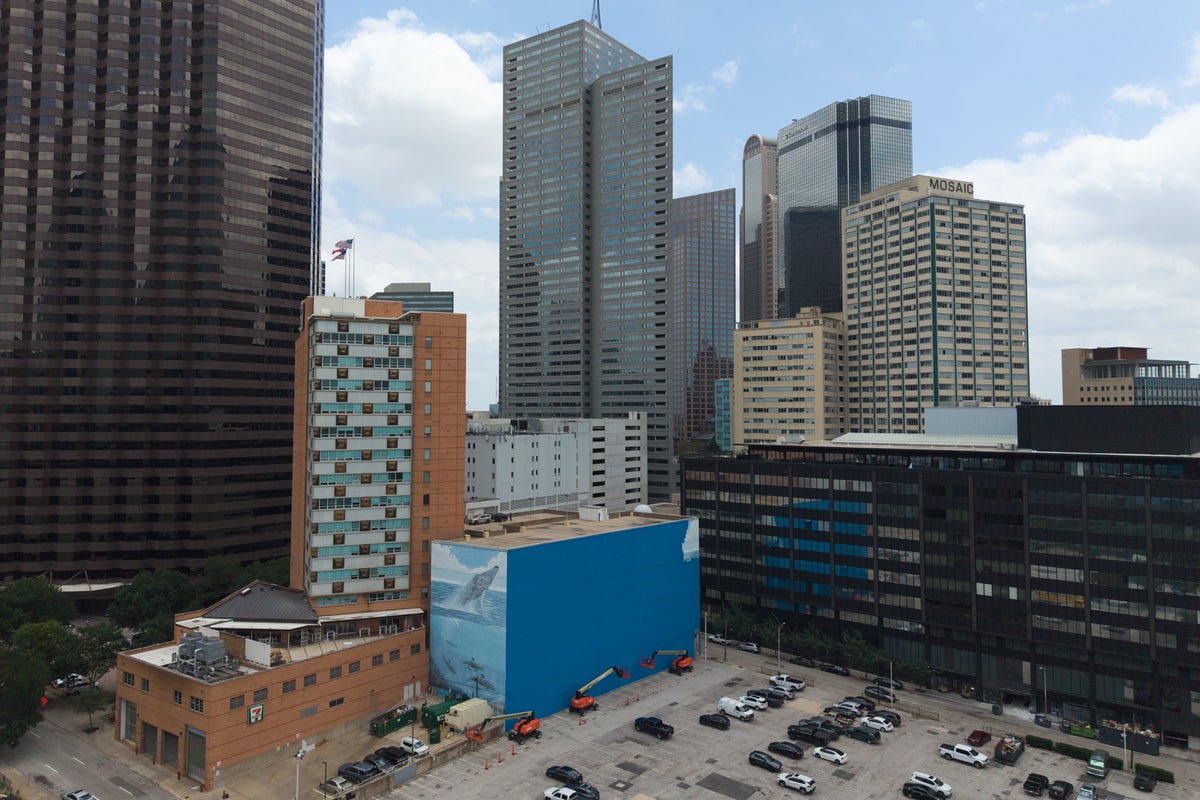Dallas artist sues FIFA for $25 million after his giant whale mural was destroyed in World Cup preparations