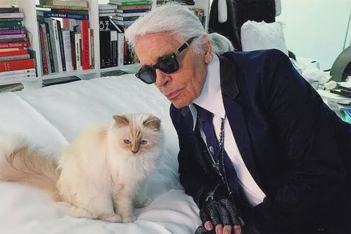 Karl Lagerfeld’s cat Choupette ‘received absolutely nothing’ seven years after designer’s death Karl Lagerfeld’s cat Choupette ‘received absolutely nothing’ seven years after designer’s death