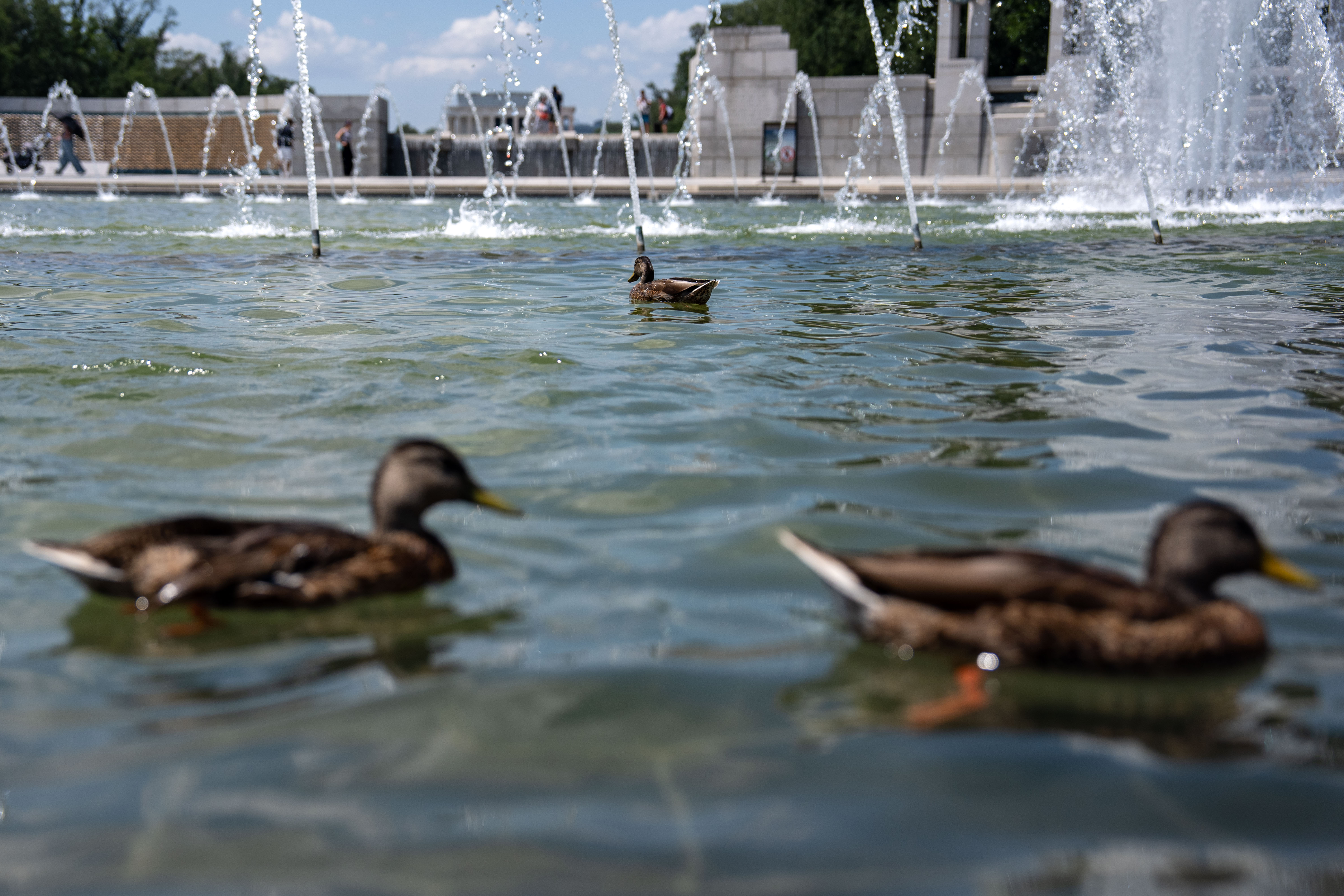 Fountains connected nan National Mall, for illustration nan 1 seen present astatine nan World War II memorial, are reportedly being refurbished pinch $47 cardinal successful money from nationalist parkland introduction fees