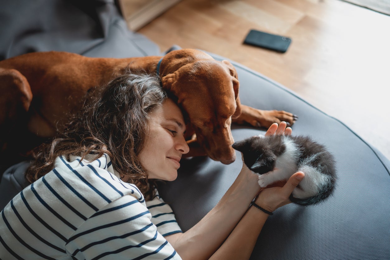 The surprising ways pets can affect your mental health, according to experts  www.the-independent.com