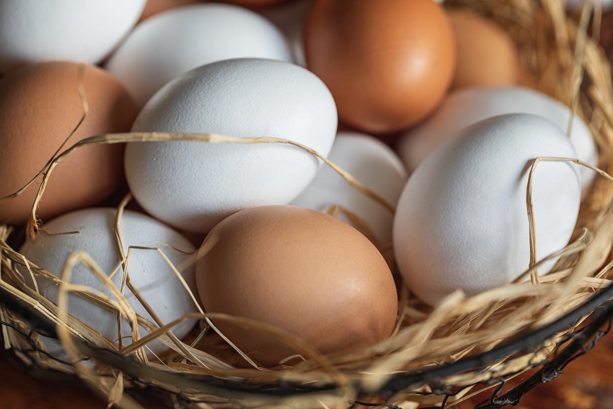 The science of supermarket eggs - and why you've been buying the wrong ones all along