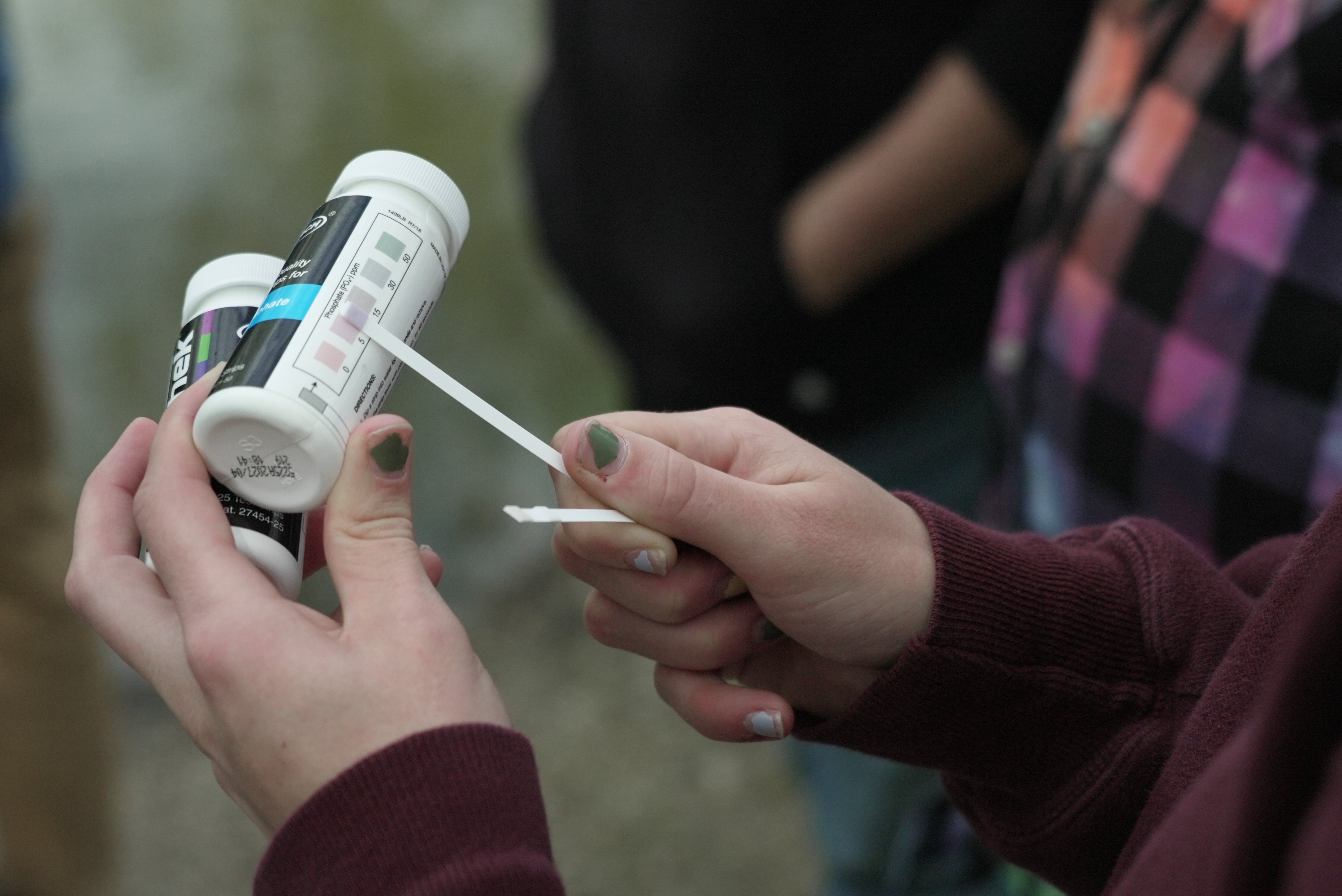 A Drake University student holds a phosphate trial portion aft sampling h2o from a stream