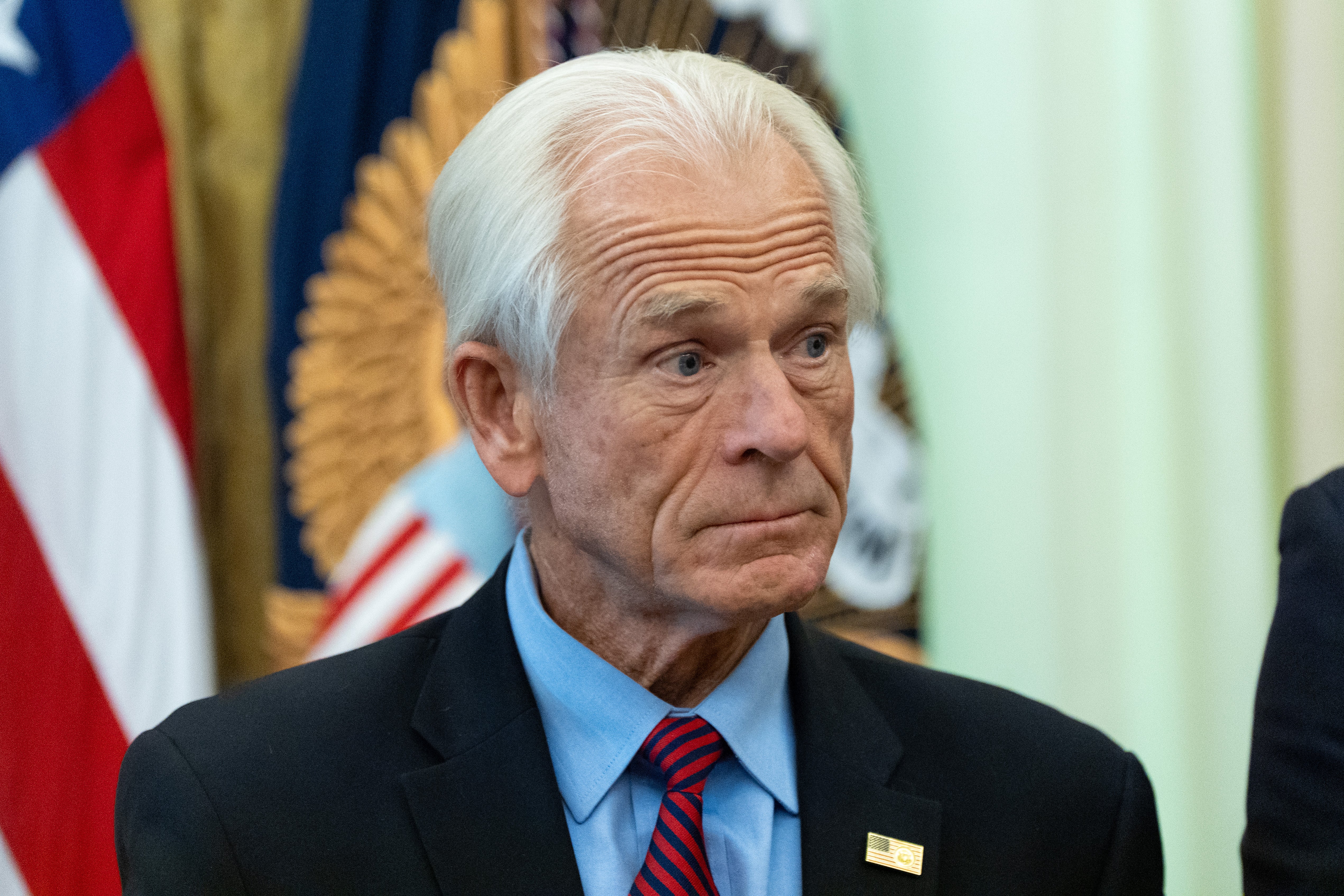 Peter Navarro, a longtime state of President Trump, is presently serving arsenic an advisor to nan president and reportedly advocated for nan indebtedness to Vulcan Elements