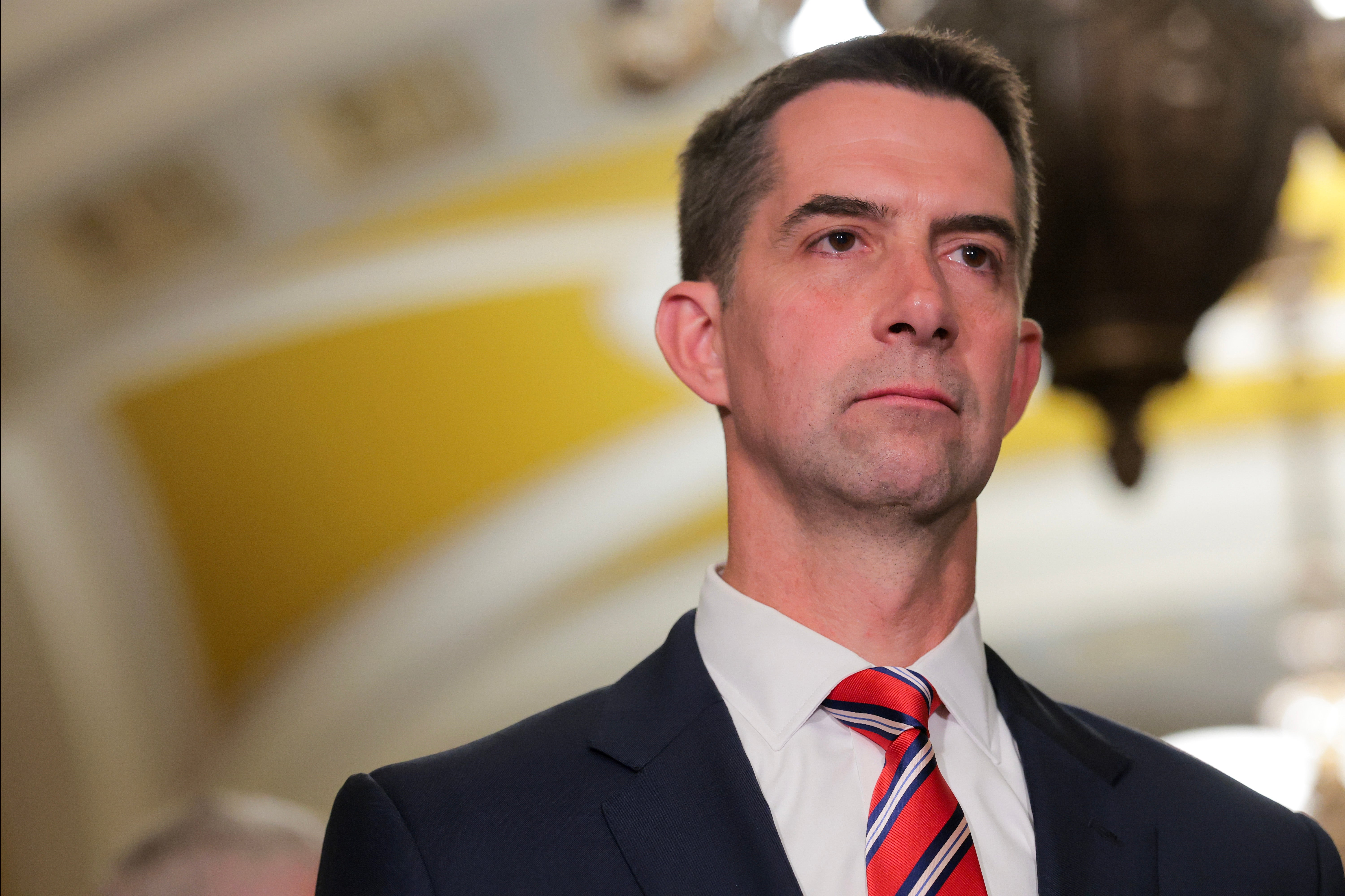 Sen. Mark Warner, nan apical Democrat connected nan Senate Intelligence Committee who had worked to discuss nan bill, voted against it. He said earlier Thursday that he and committee Chair Sen. Tom Cotton, shown here, had reached what he described arsenic a “compromise” connected a “strong bill”