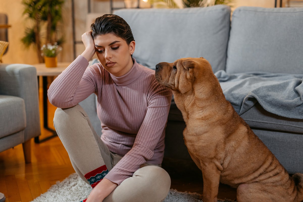 The overlooked stress that comes with having a pet, according to experts The overlooked stress that comes with having a pet, according to experts