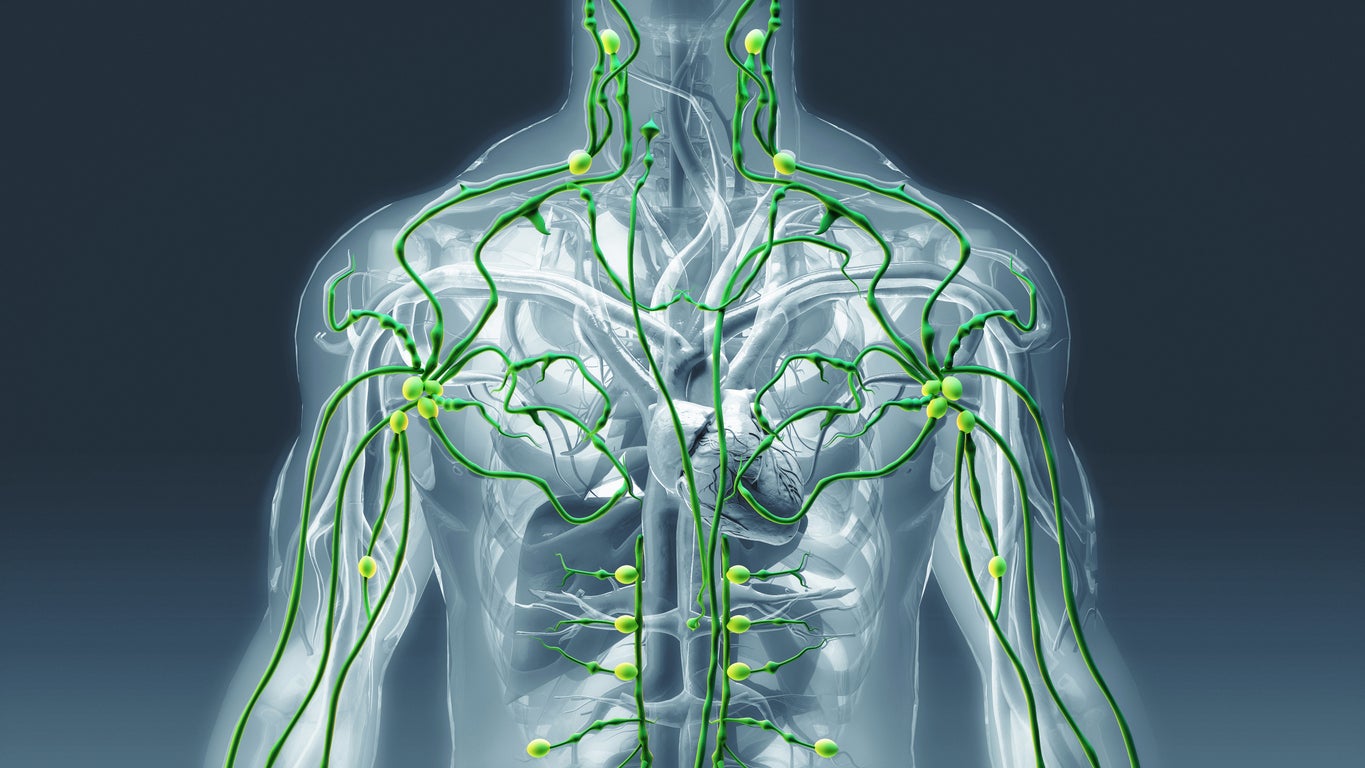 What is lymphatic drainage and does the viral health trend actually work?  www.the-independent.com
