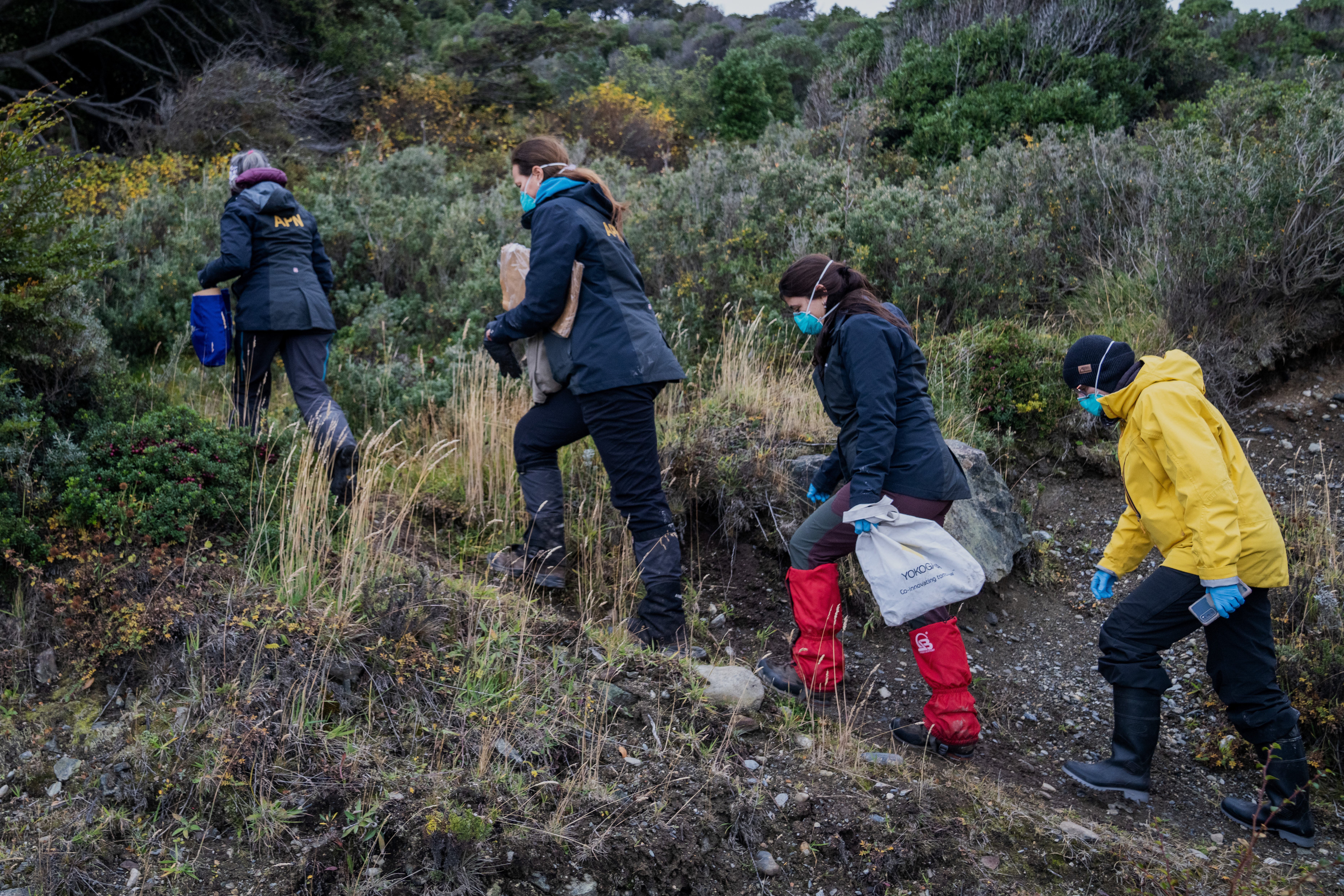Argentina is expanding its investigation into a hantavirus outbreak connected a cruise ship
