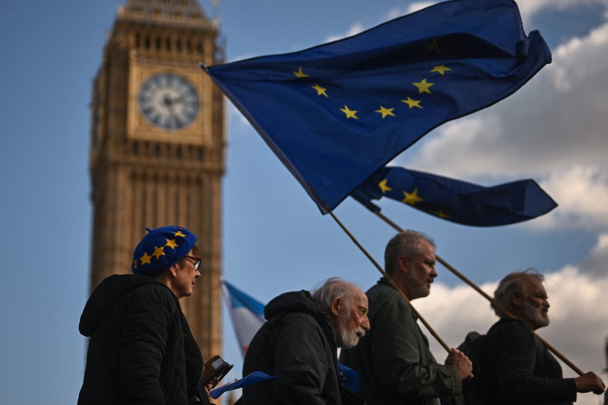 Labour may reconsider Brexit red lines, Britain's top EU negotiator suggests