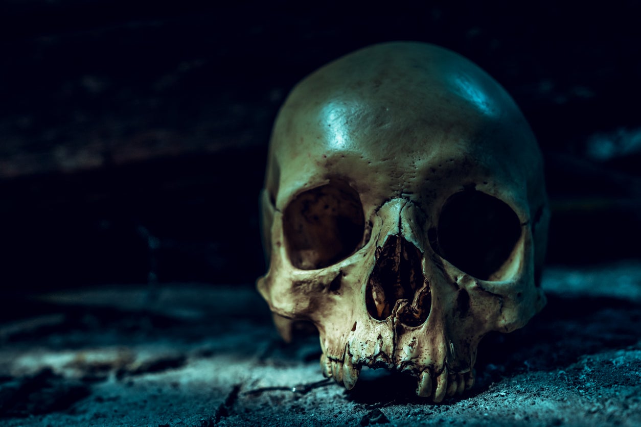 Mystery deepens after human skull discovered at Florida thrift store. It’s not the first time