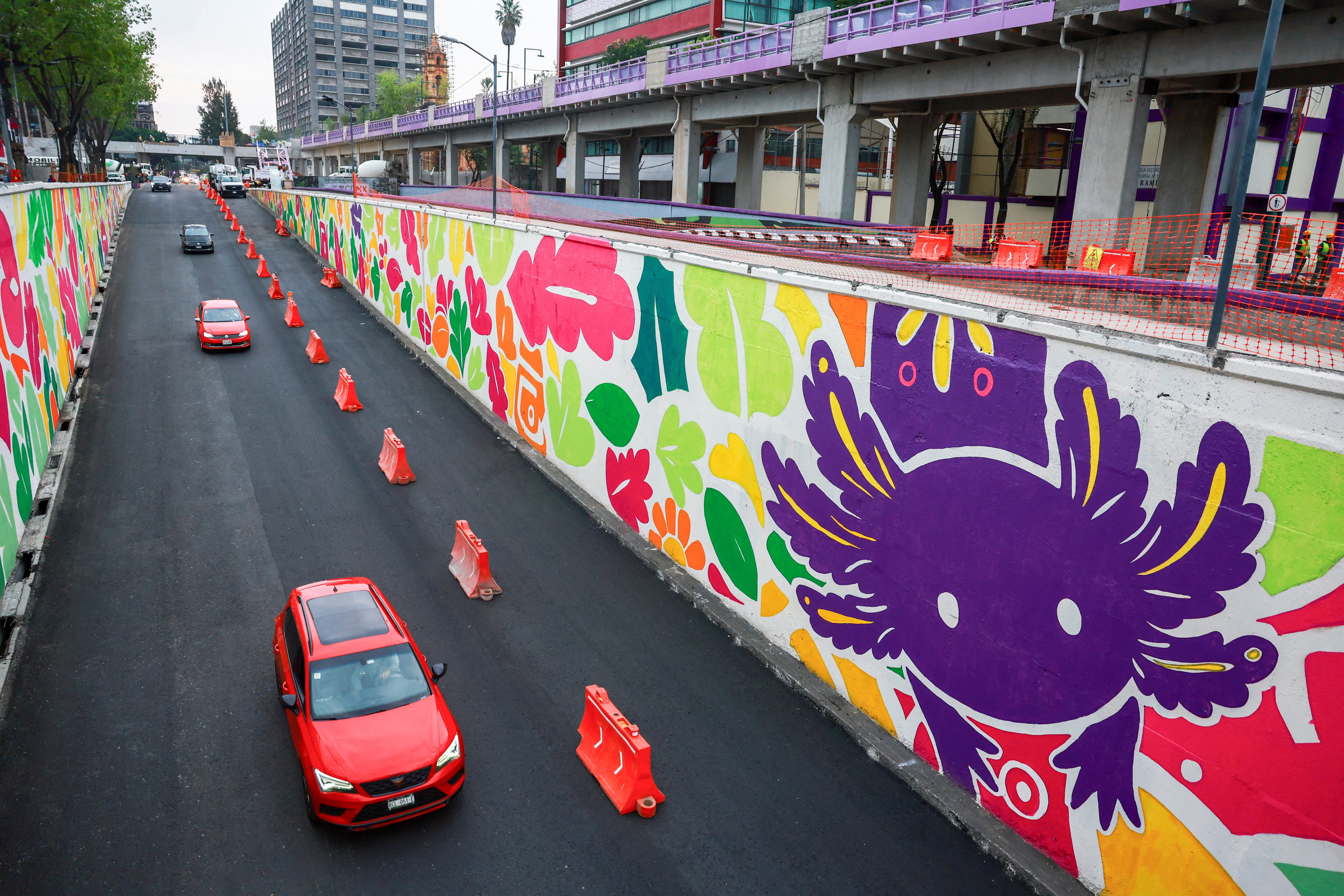 Vehicles walk done an underpass featuring an image of nan critically endangered axolotl, a salamander autochthonal to cardinal Mexico's lakes