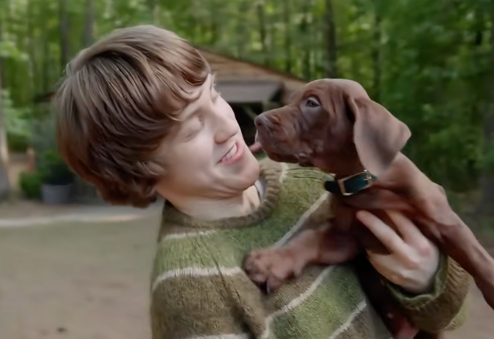 Scooby pula nos braços de Salsicha em um vídeo inicial da próxima série 'Scooby-Doo: Origins'