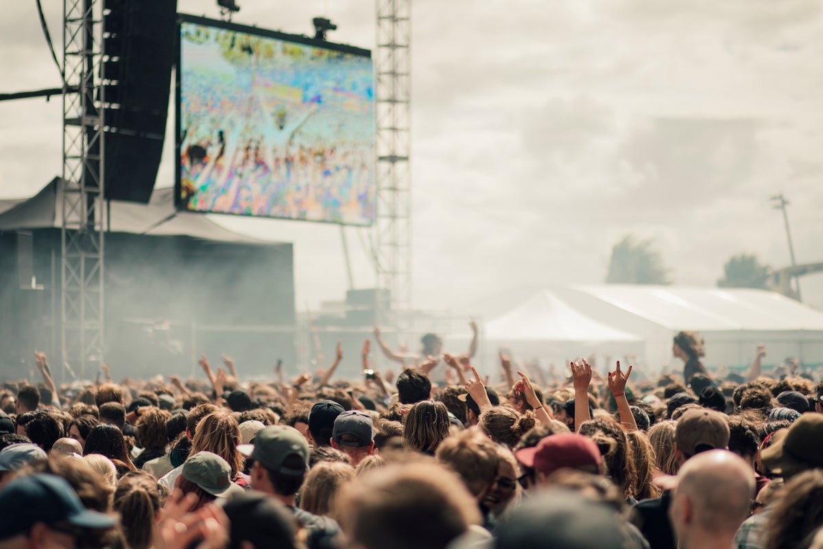The must-have concert accessory? Earplugs — and why experts recommend them The must-have concert accessory? Earplugs — and why experts recommend them