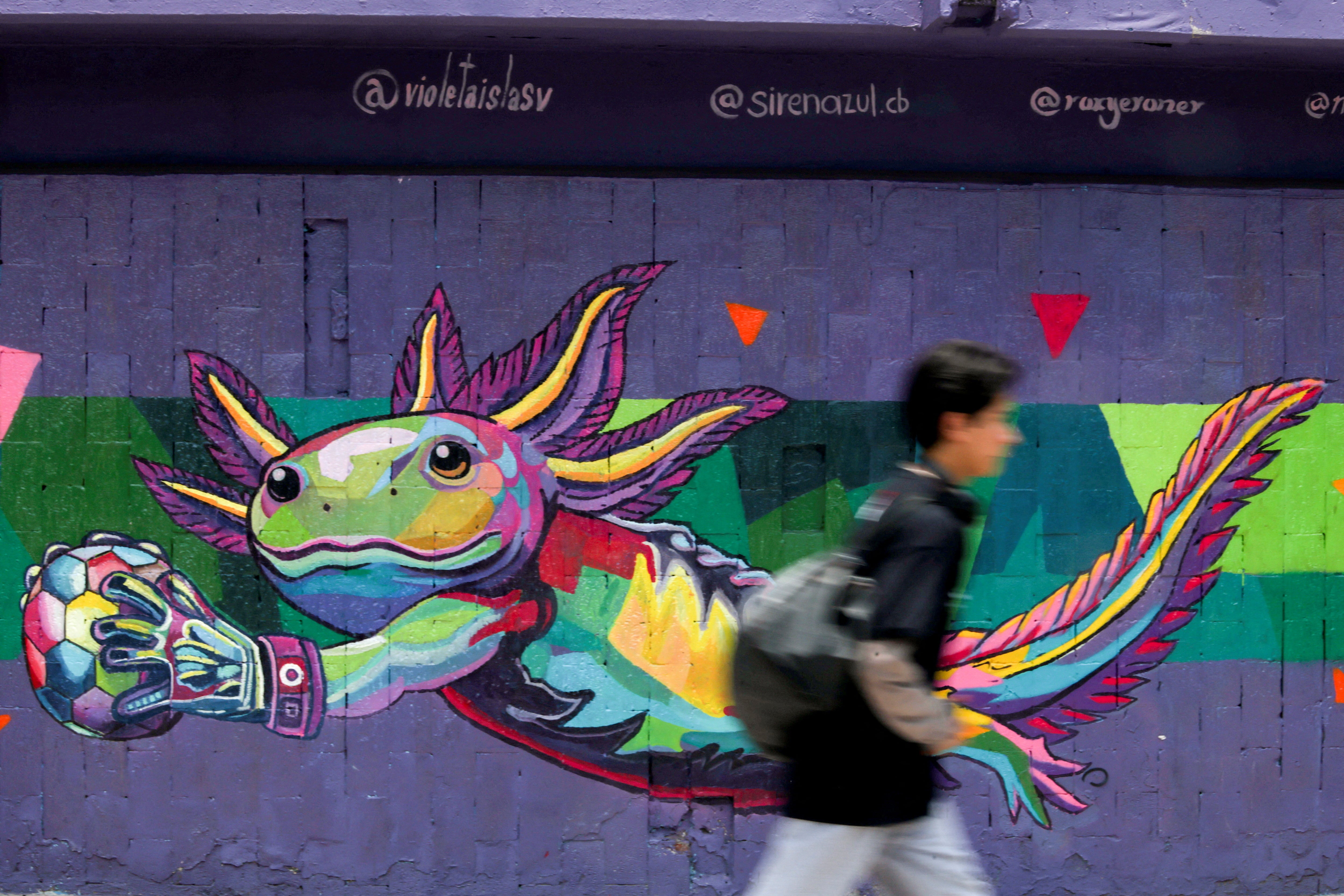 Mexico’s unofficial World Cup mascot might already be extinct in the wild