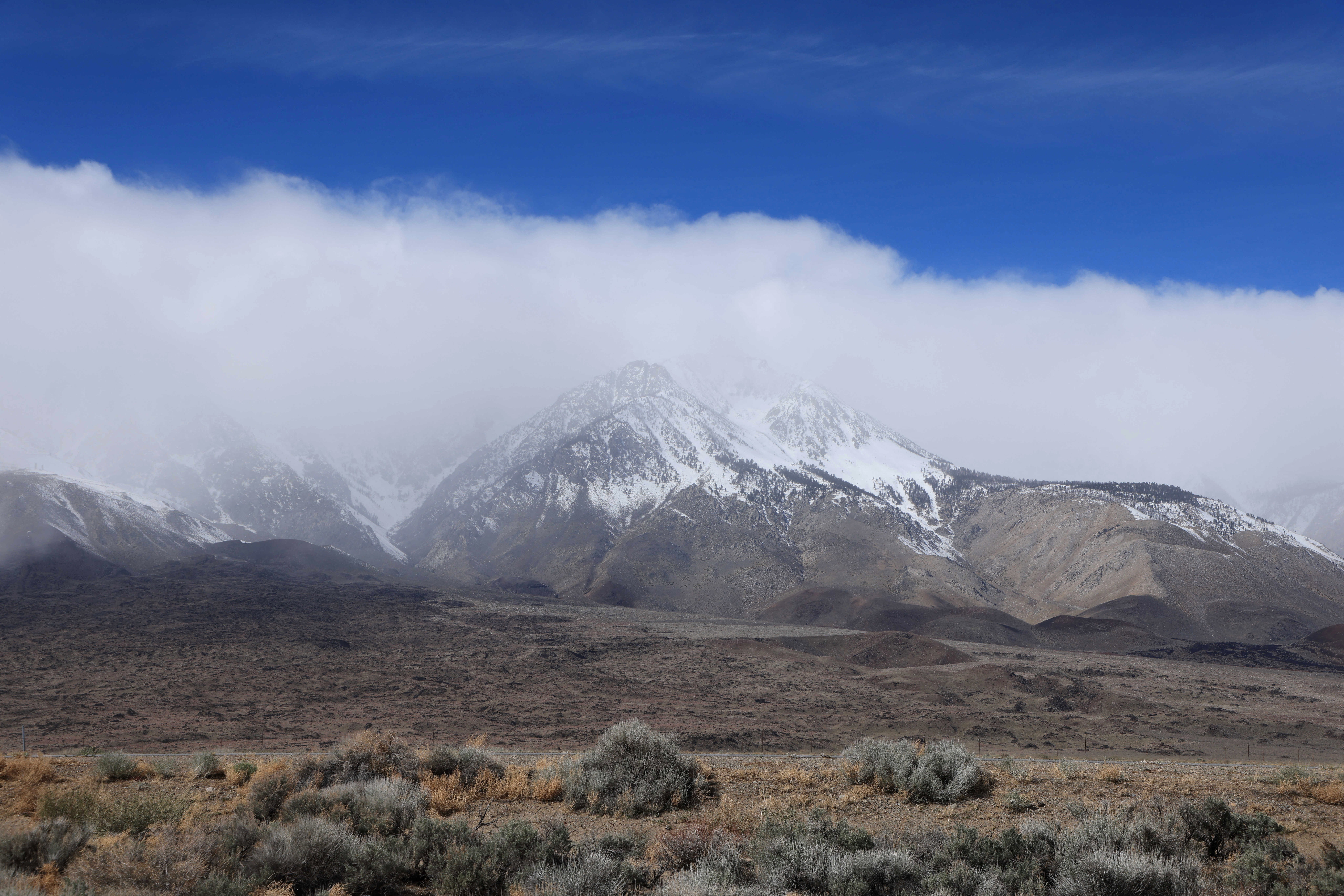 The brushwood unfolded successful Mammoth Lakes, a municipality successful California's Sierra Nevada region