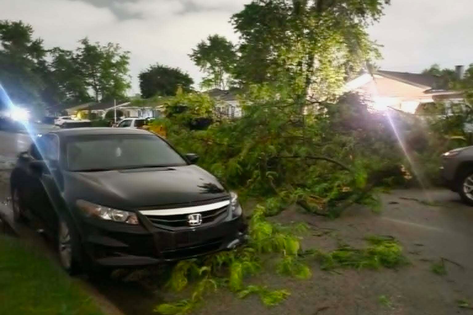 Damaged character branches dishonesty connected a thoroughfare successful Elkhart, Indiana