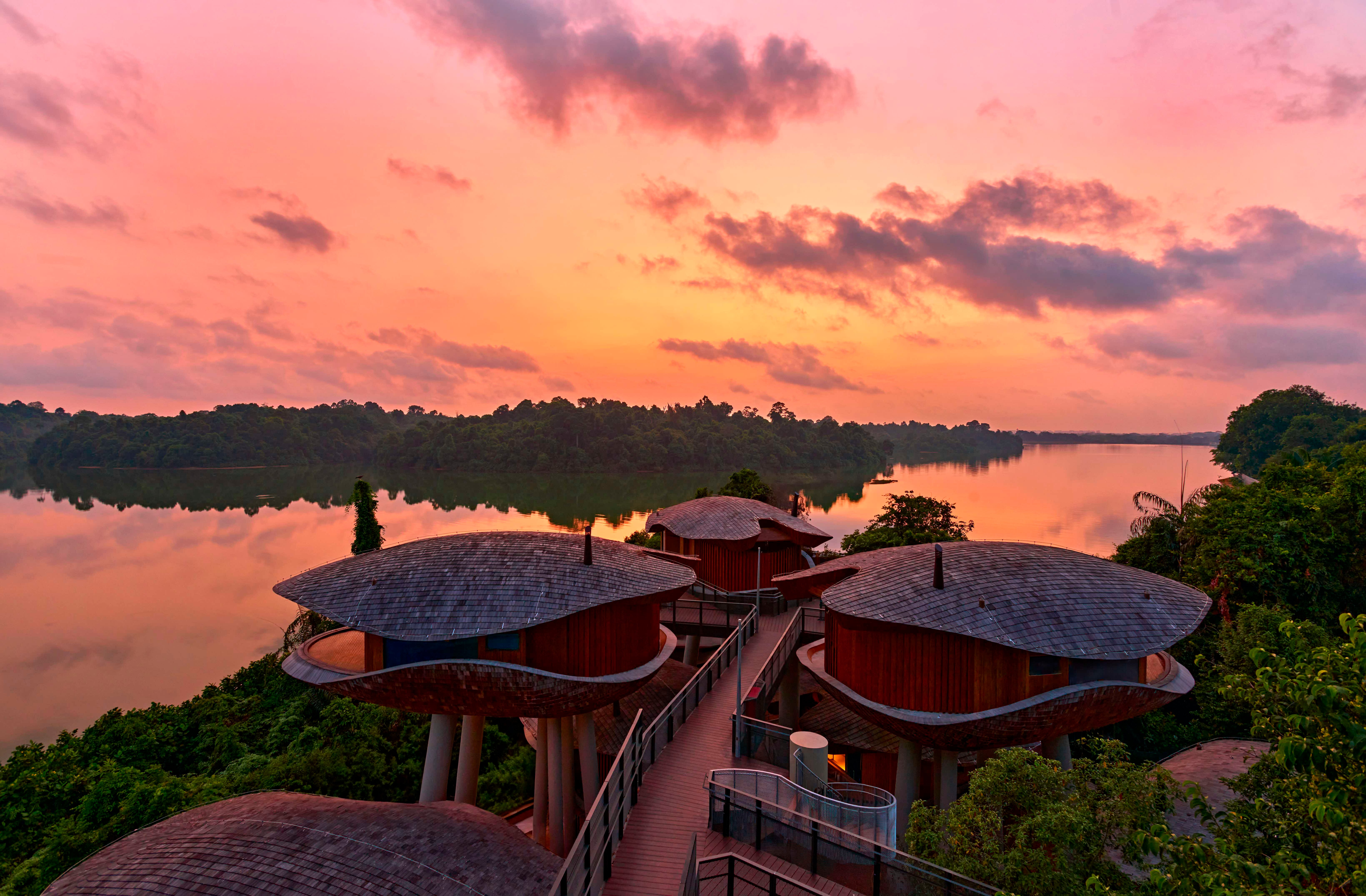 For a truly memorable and immersive stay surrounded by nature, head to Mandai Rainforest Resort