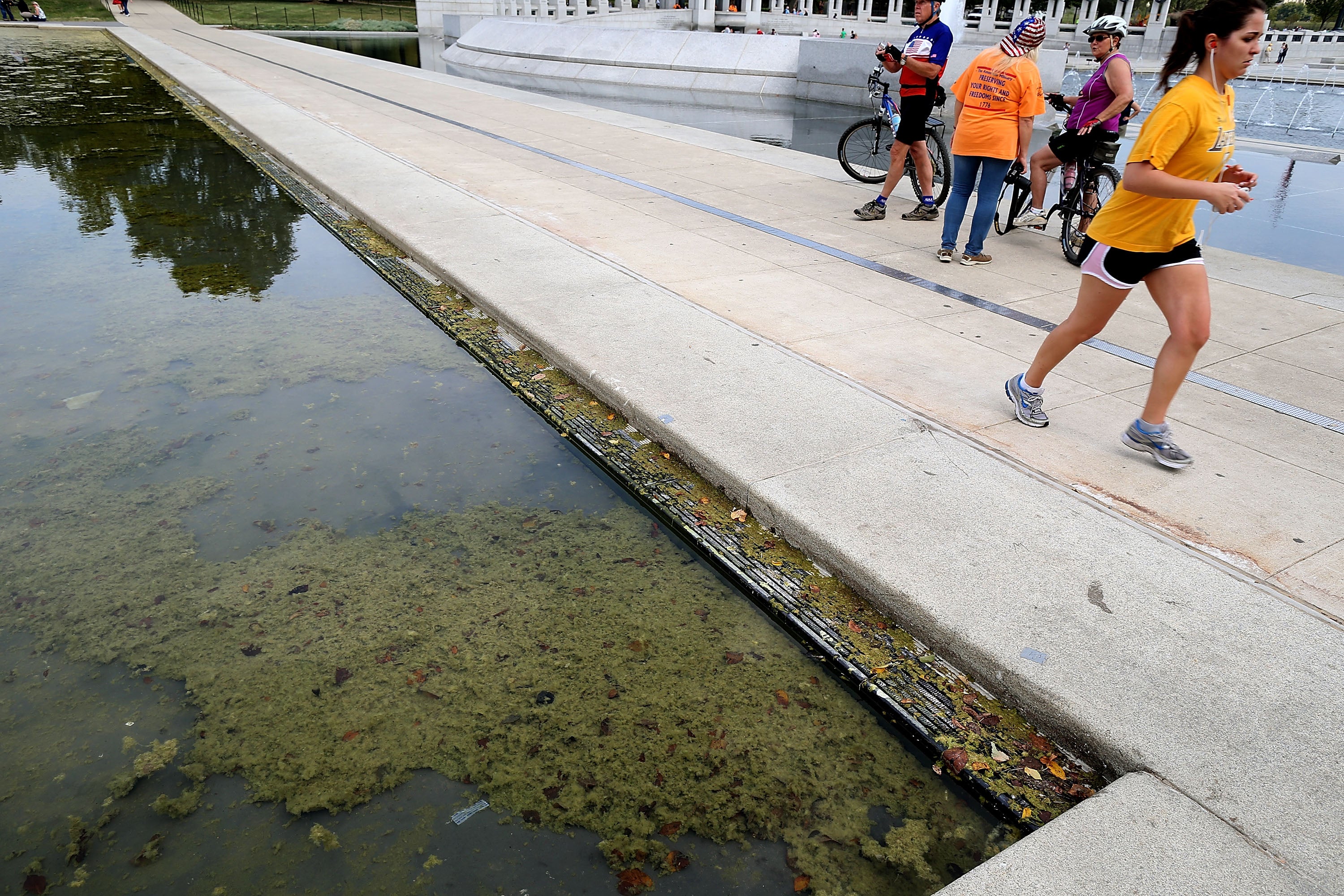 Algae In The Reflecting Pool Started Growing Just Days After Trump’s $14m Renovation: Report