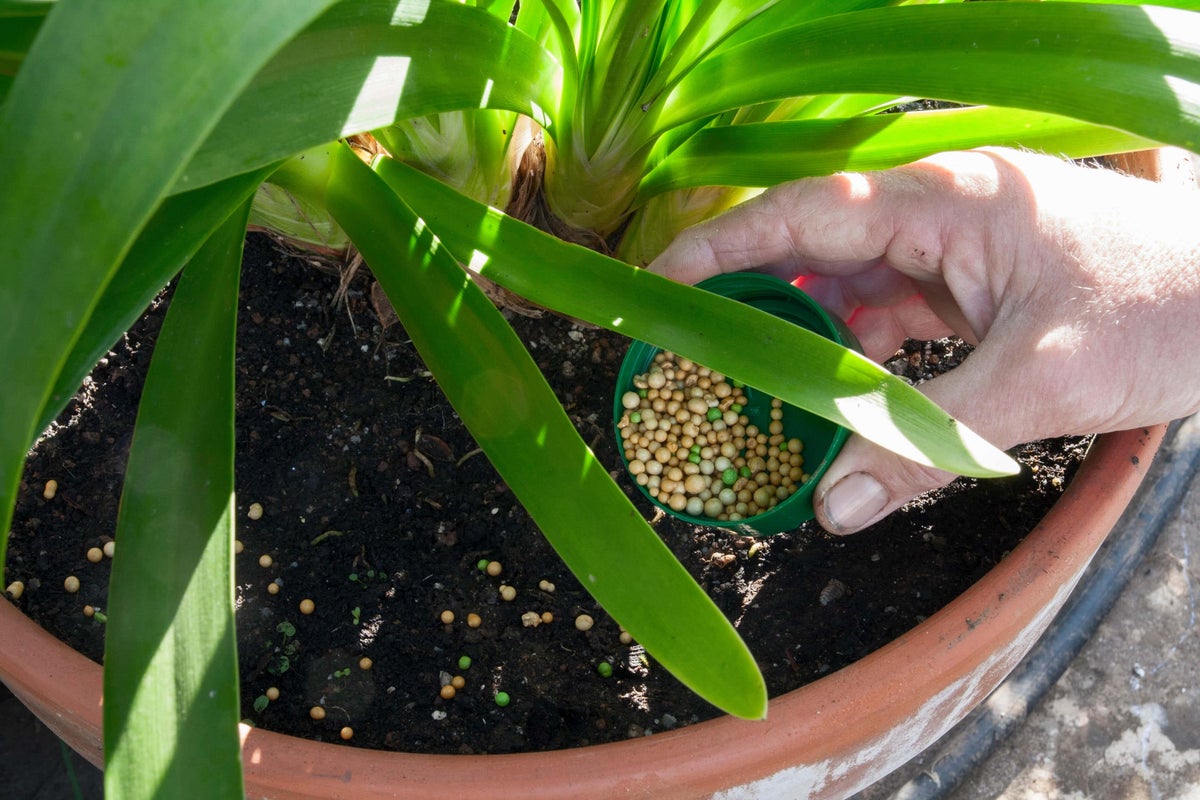 Plastic Free July: The hidden plastics in your garden and how to ditch them Plastic Free July: The hidden plastics in your garden and how to ditch them