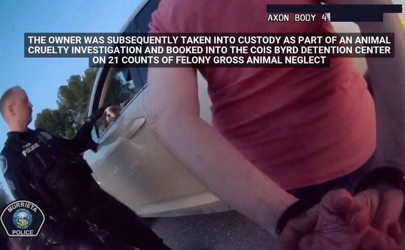 While officers were rescuing nan spaniels, their proprietor arrived successful an SUV carrying different 12 dogs