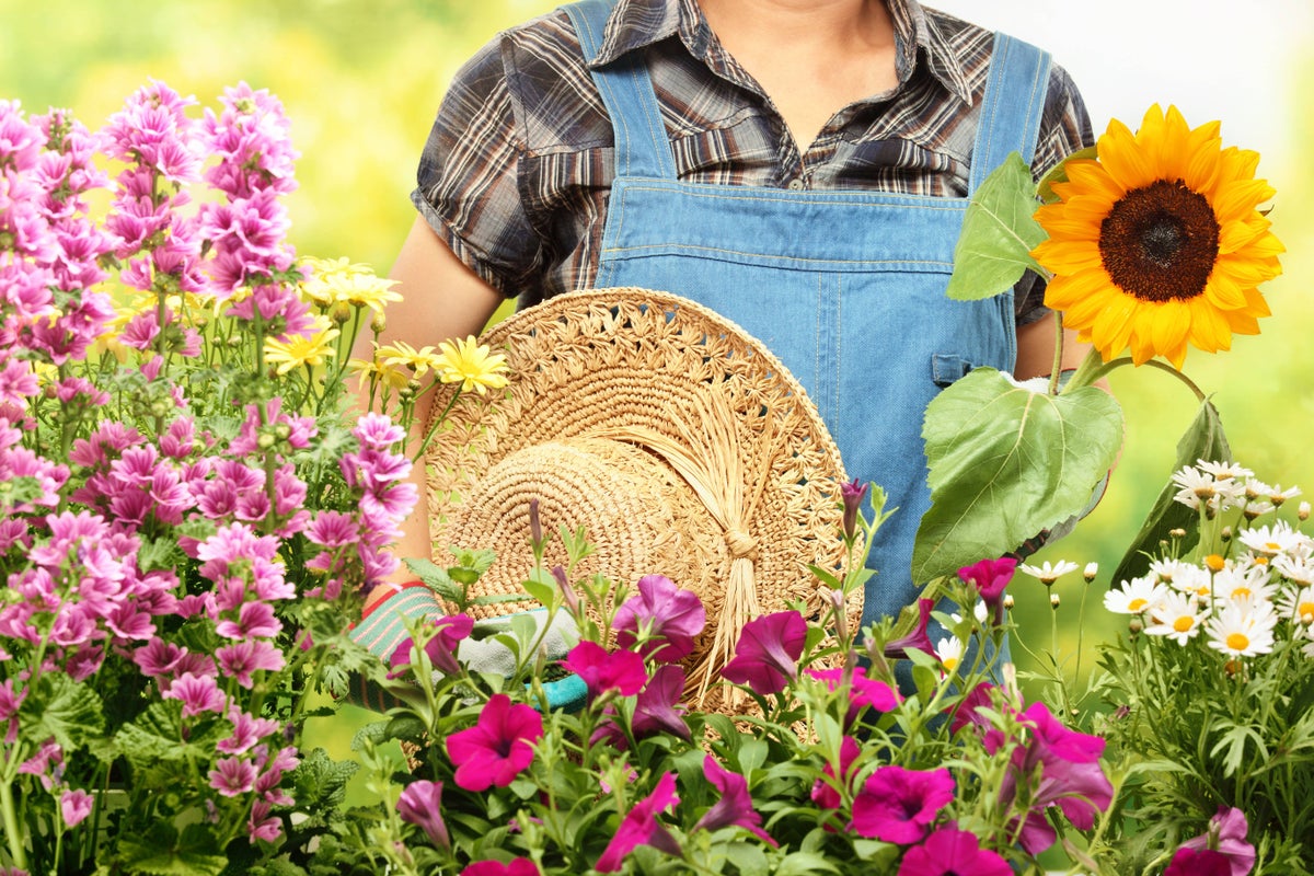 The most important gardening jobs to do in July The most important gardening jobs to do in July