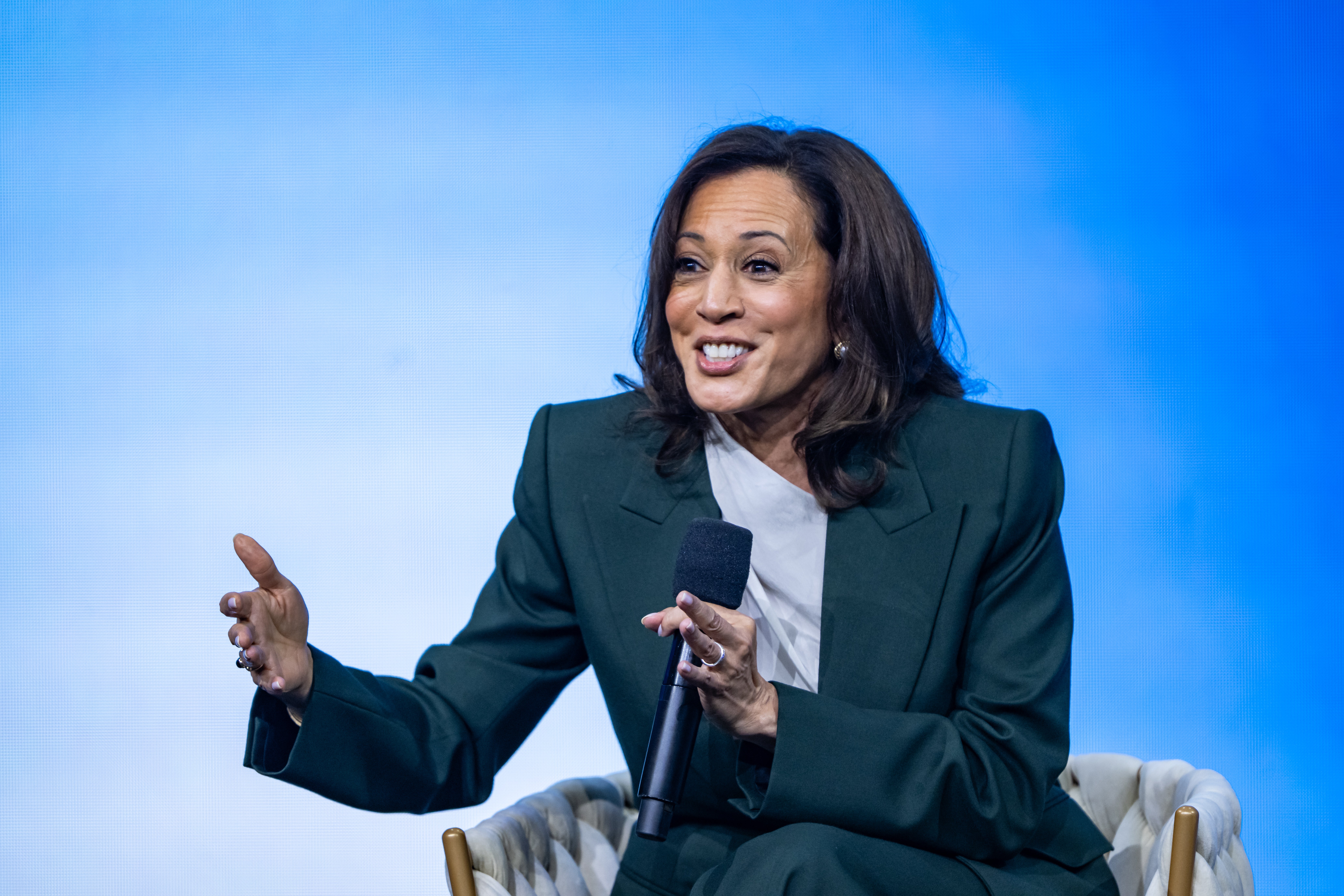 Former Vice President Kamala Harris continues to lead nan battalion successful accepted 2028 polling