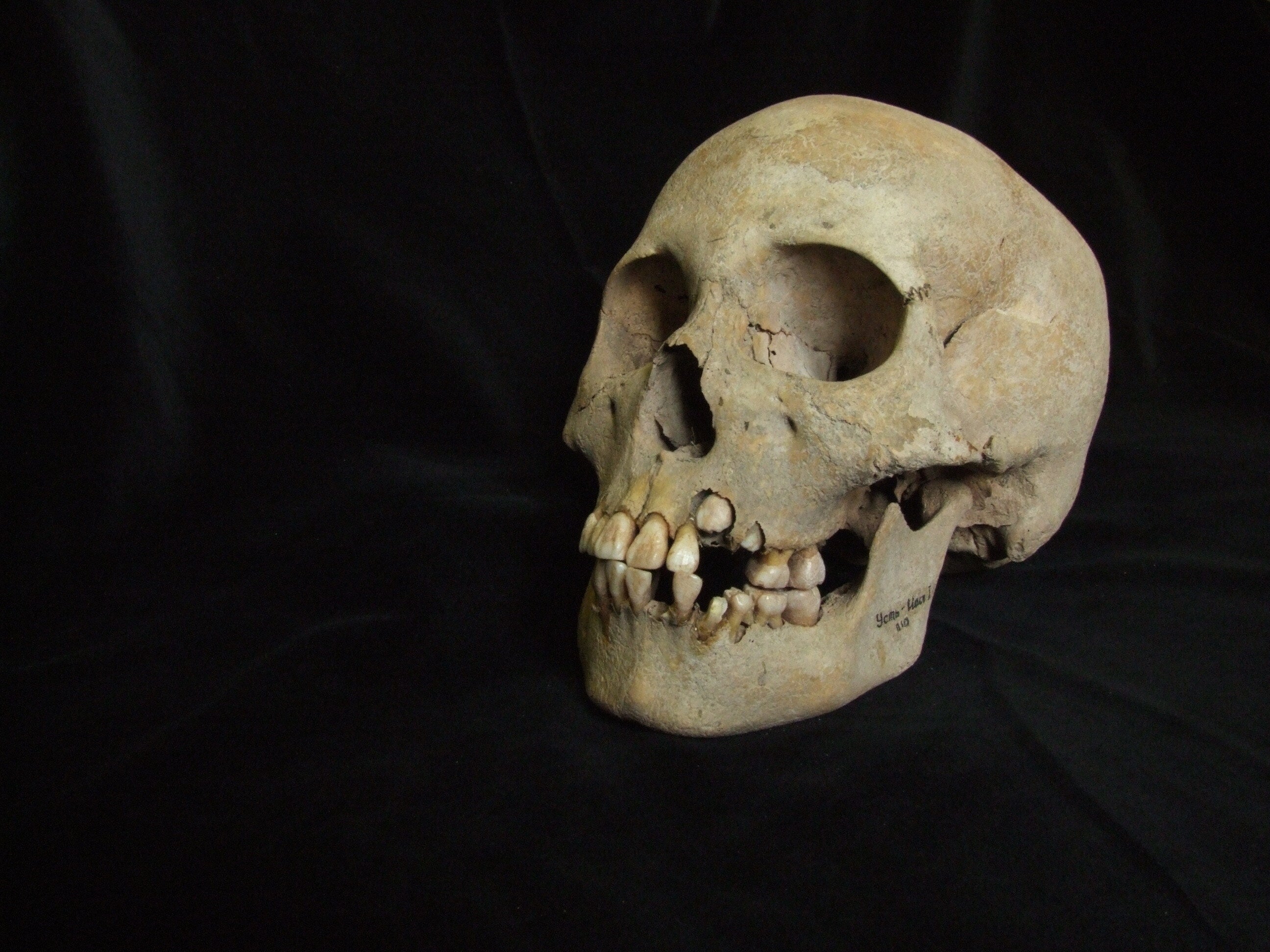 Oldest known evidence of the plague discovered and it transforms what we know about the disease
