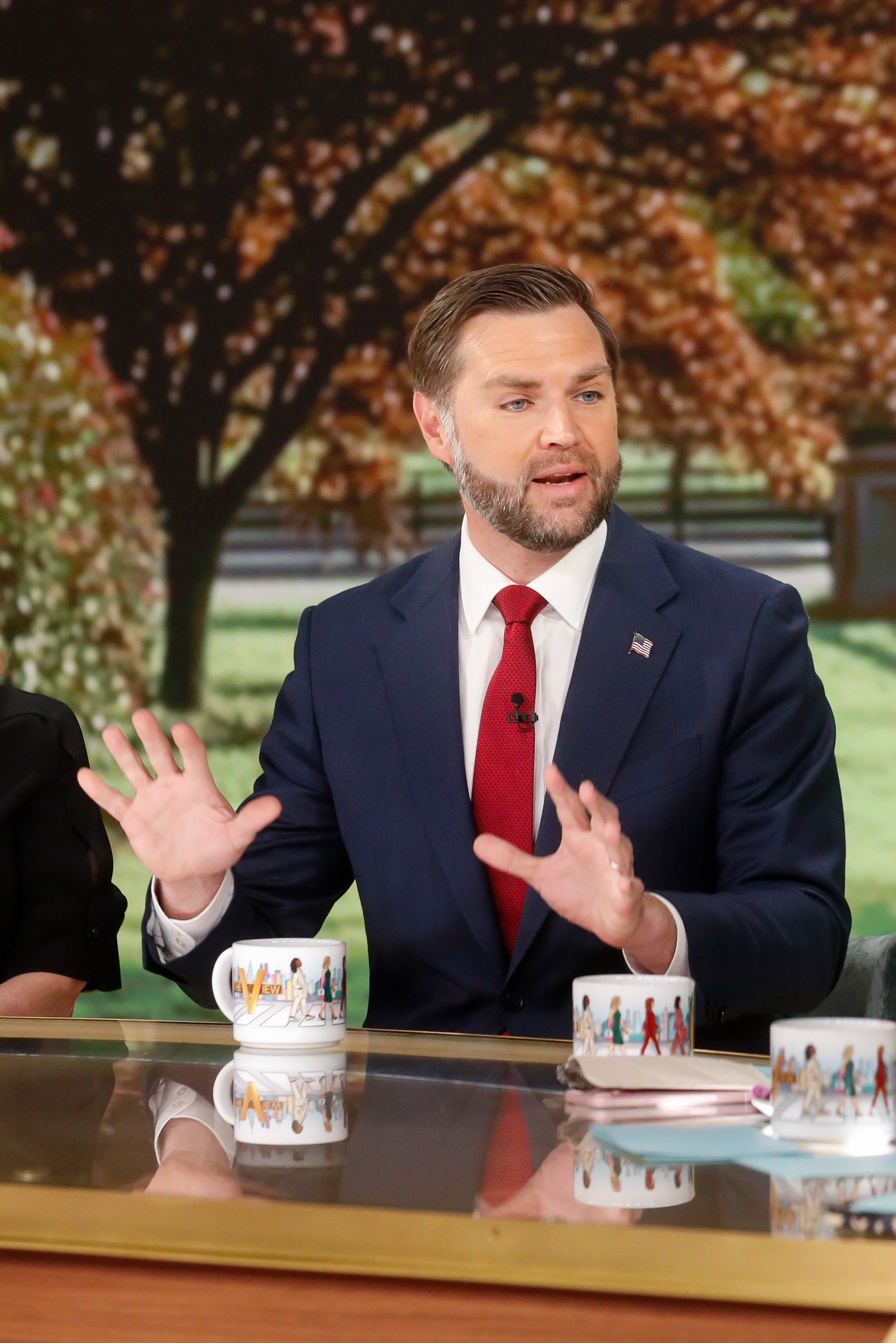 Vance went connected nan talk show, known for its wide co-hosts, to beforehand his caller memoir astir his Catholic faith
