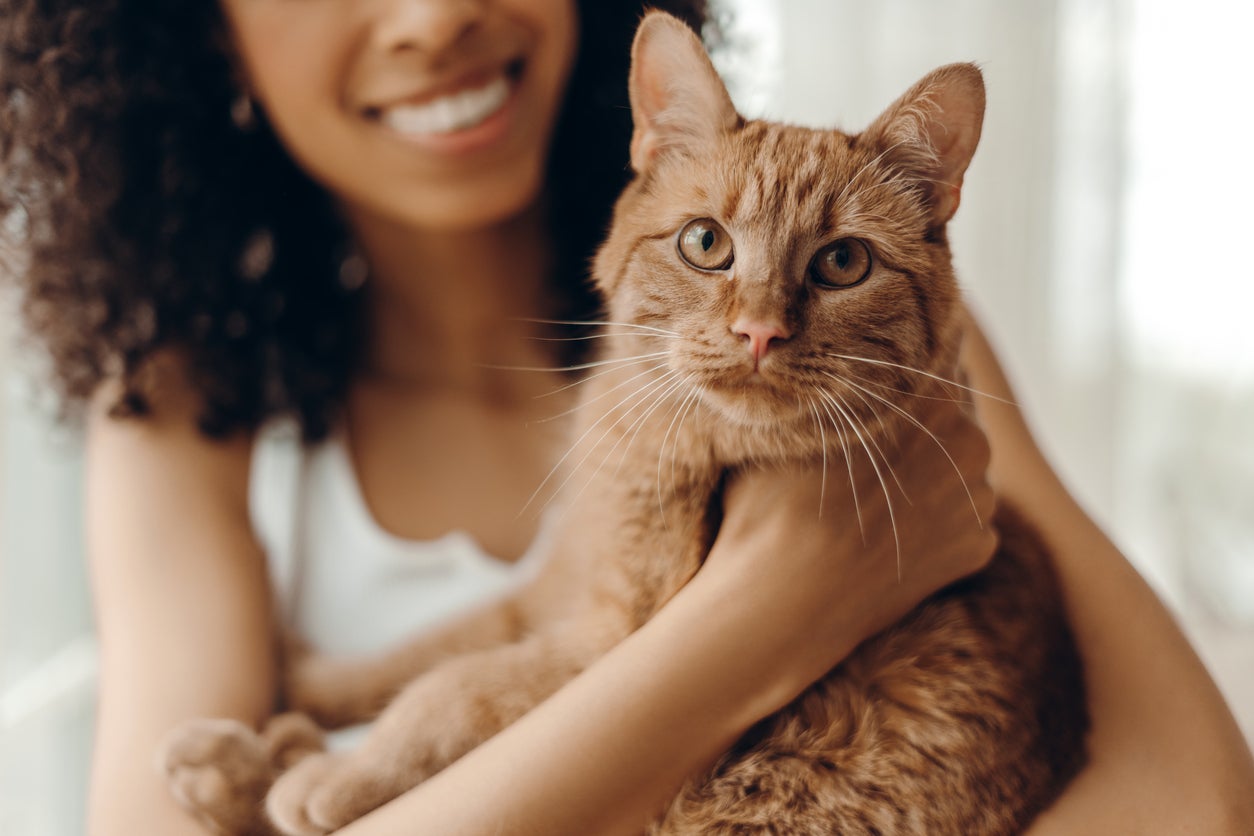 A caller study has recovered conscionable really overmuch much Gen-Z walk connected their pets than Boomers