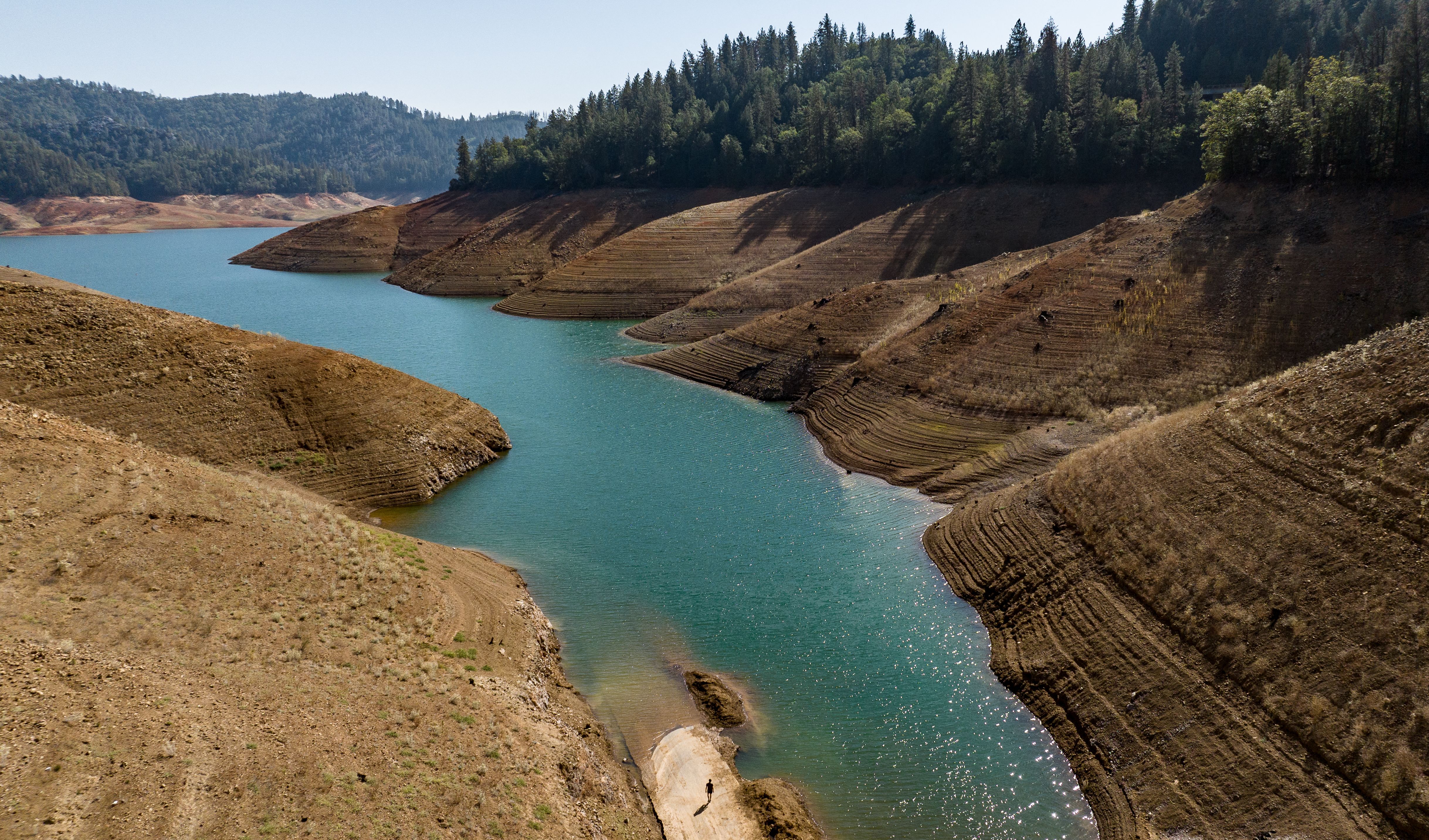 <p>A pair of prominent San Francisco socialites was found dead inside their car not far from Lake Shasta along Interstate 5, authorities said  </p>