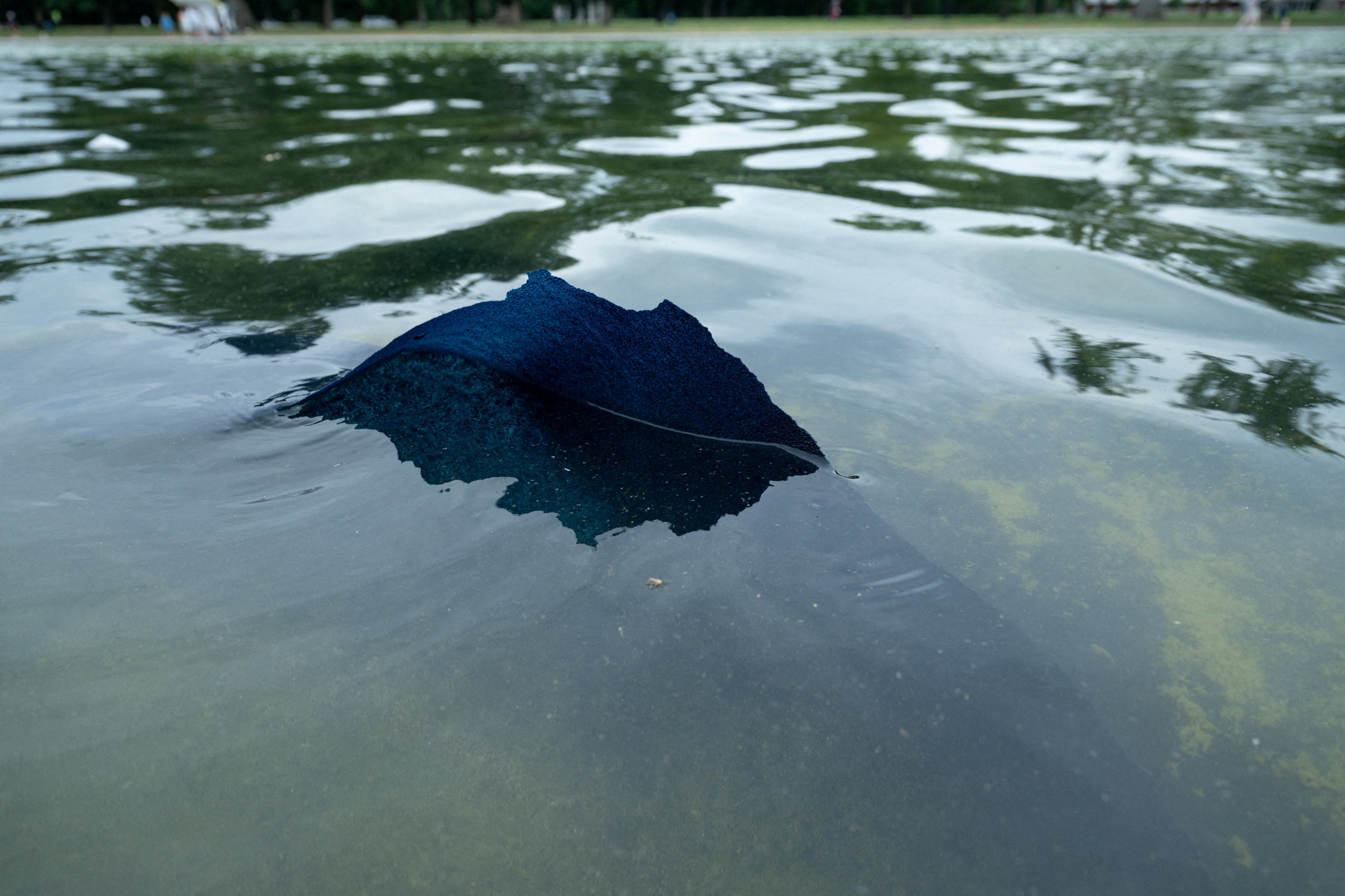 Trump has praised nan ‘American emblem blue’ overgarment occupation that lines nan shallow pool, which was covered successful algae blooms soon aft renovations were completed
