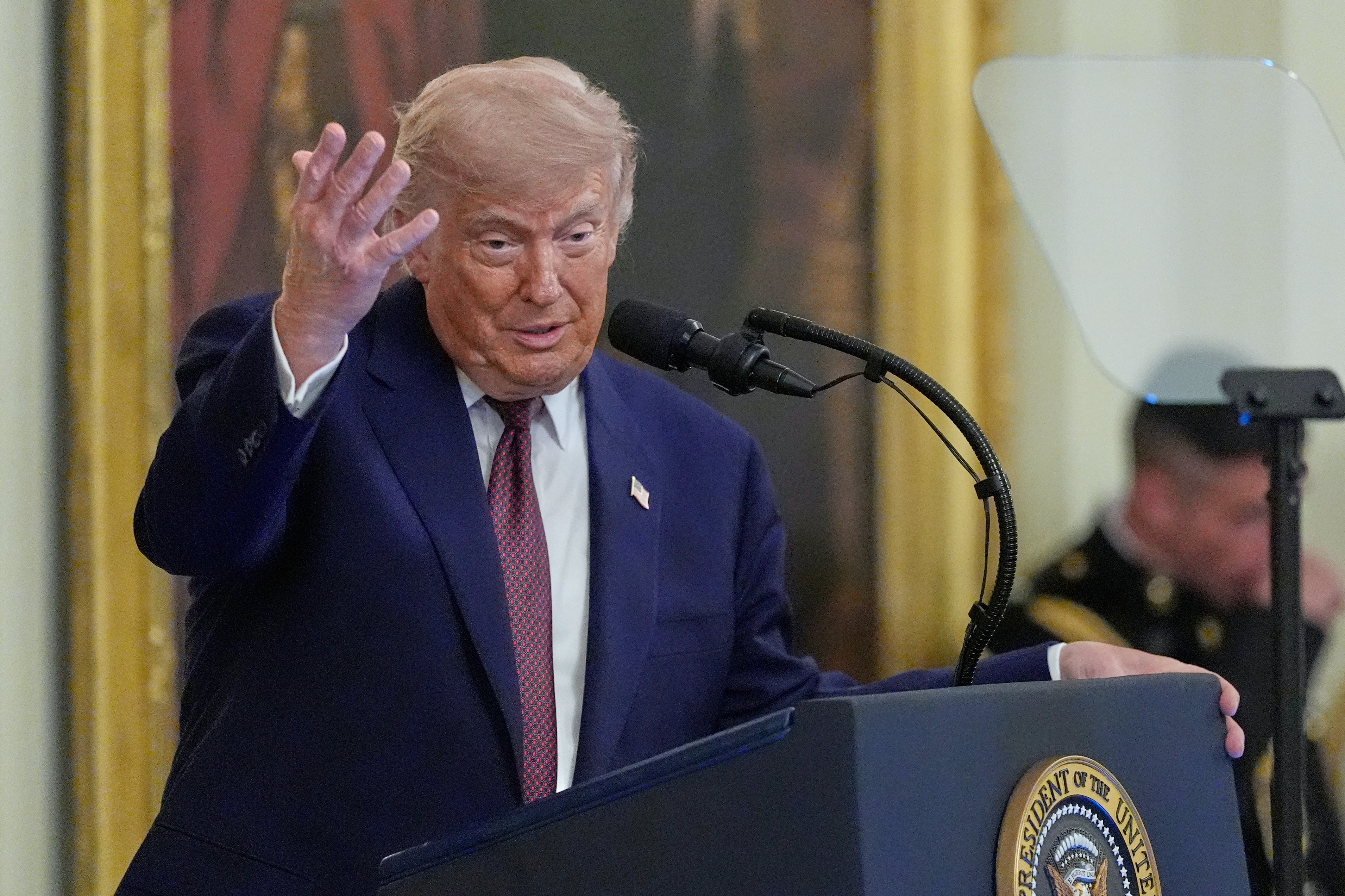 <p>President Donald Trump </p>