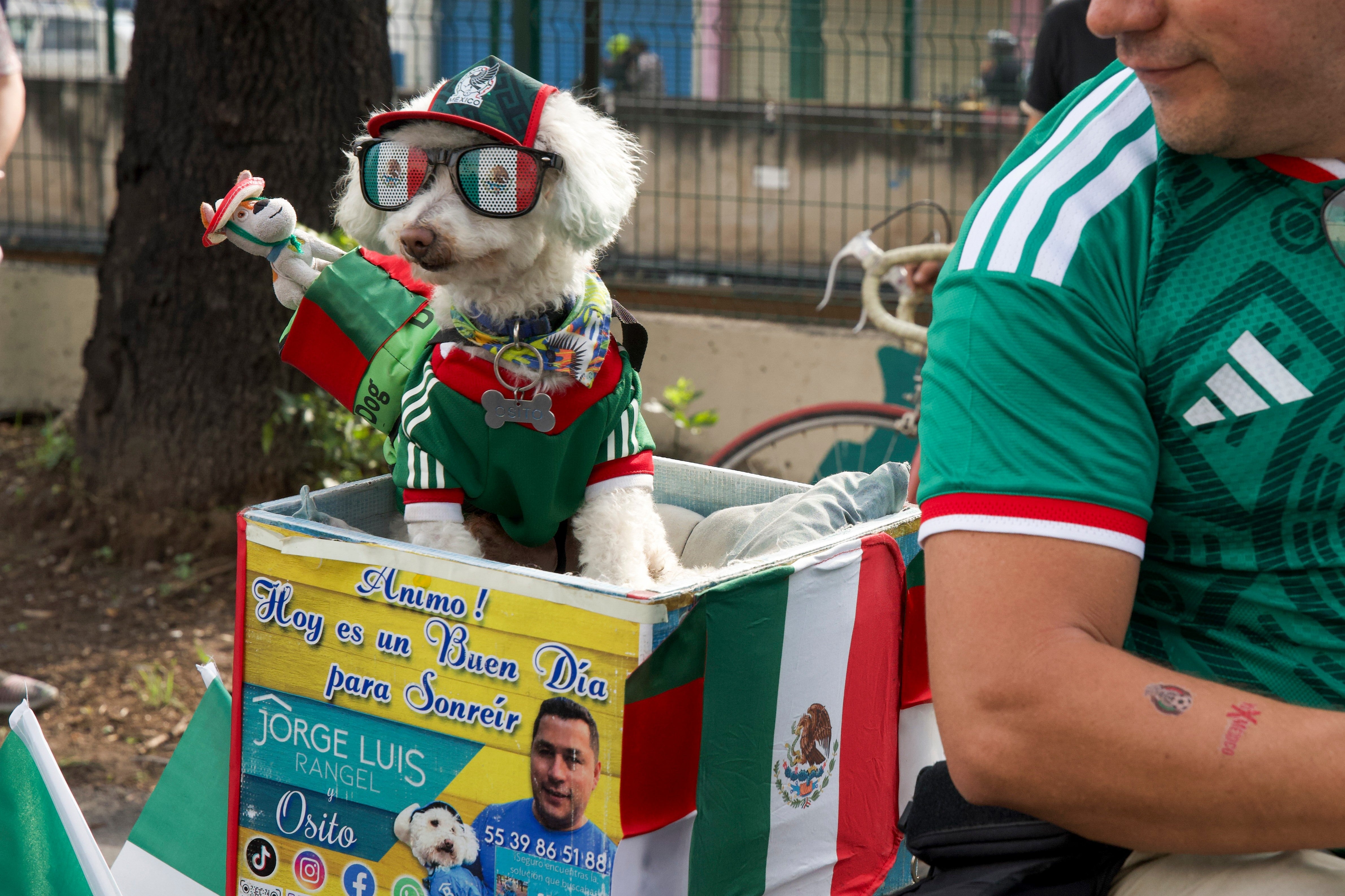 They recreation together connected a specially adapted cargo bicycle, wherever Osito sits calmly successful a backmost compartment, greeting passersby and drafting smiles from strangers