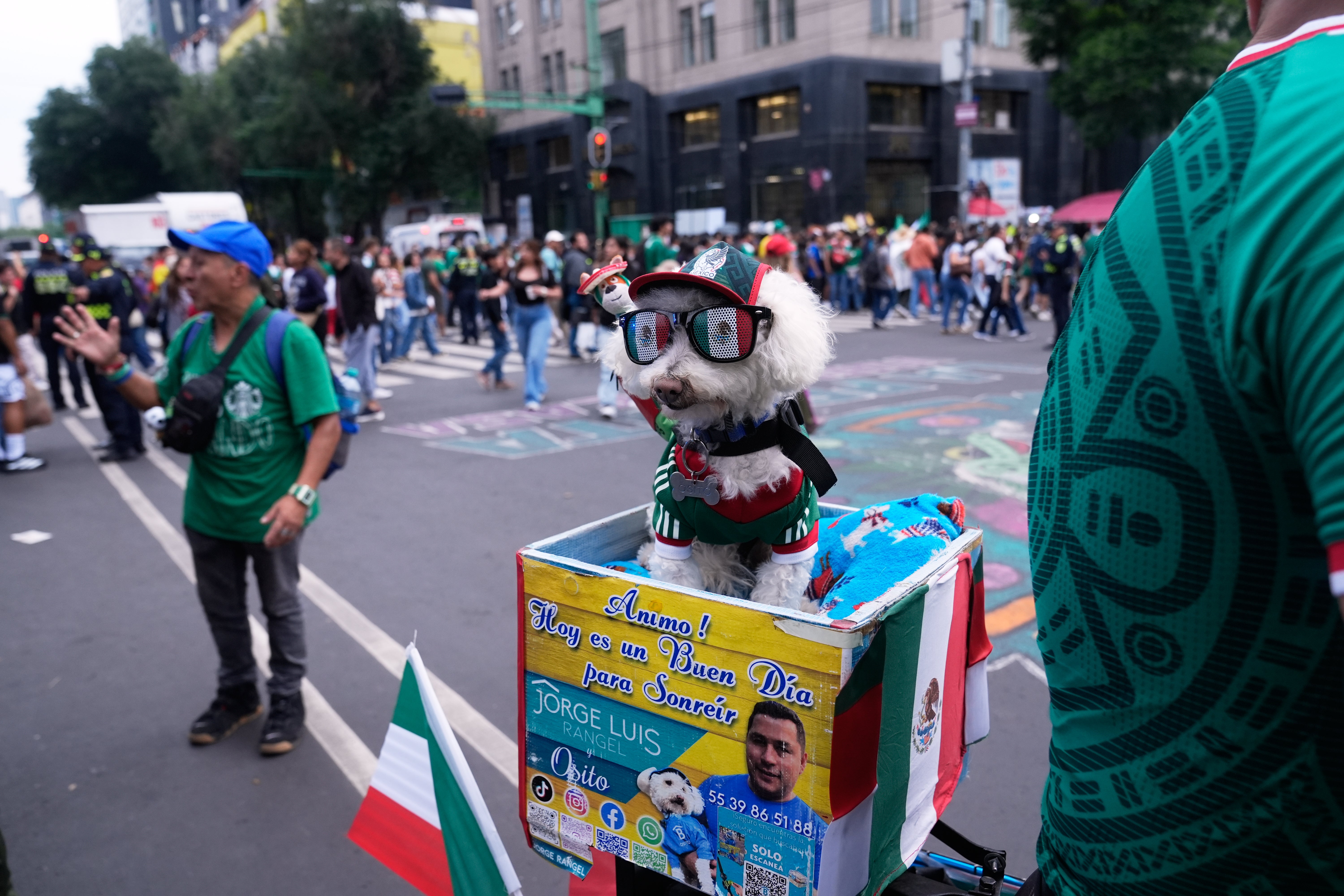 For his owner, Jorge Rangel, nan attraction is little astir net fame than nan companionship he shares pinch nan canine who accompanies him almost everywhere