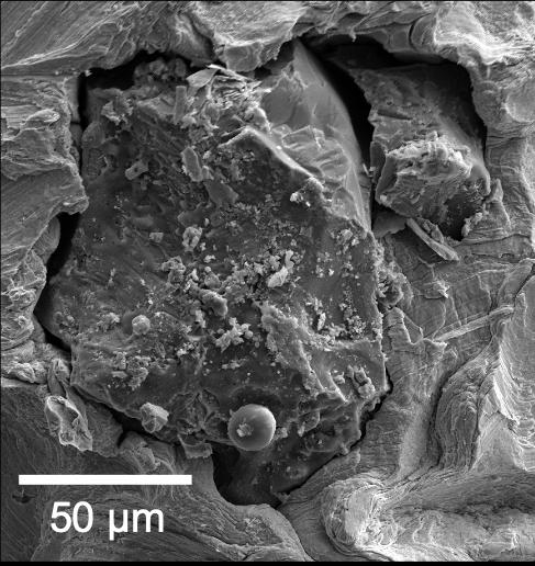 A grain of lunar soil brought back by Apollo 17