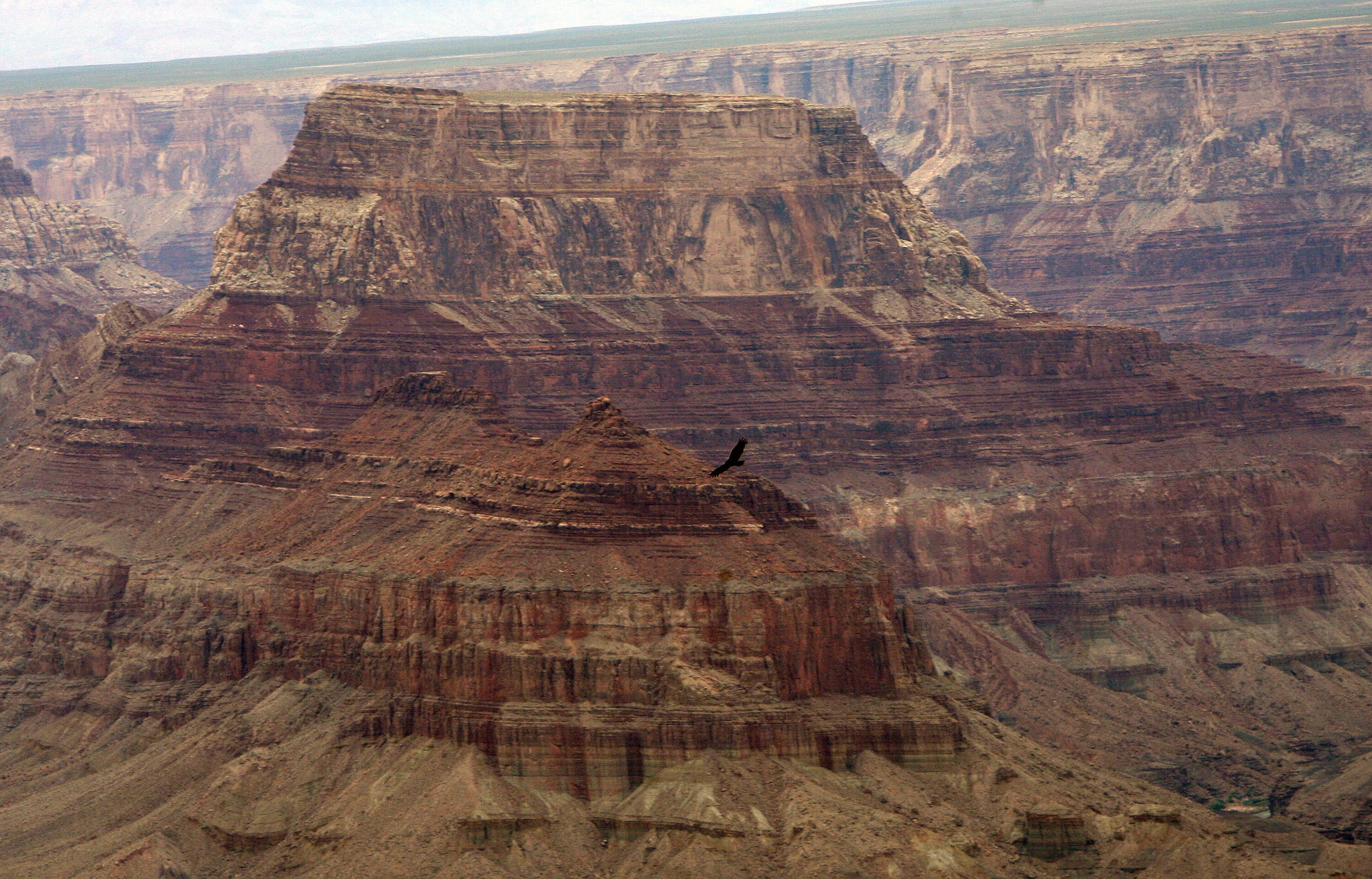 Three hikers die from extreme heat while making their way through the Grand Canyon