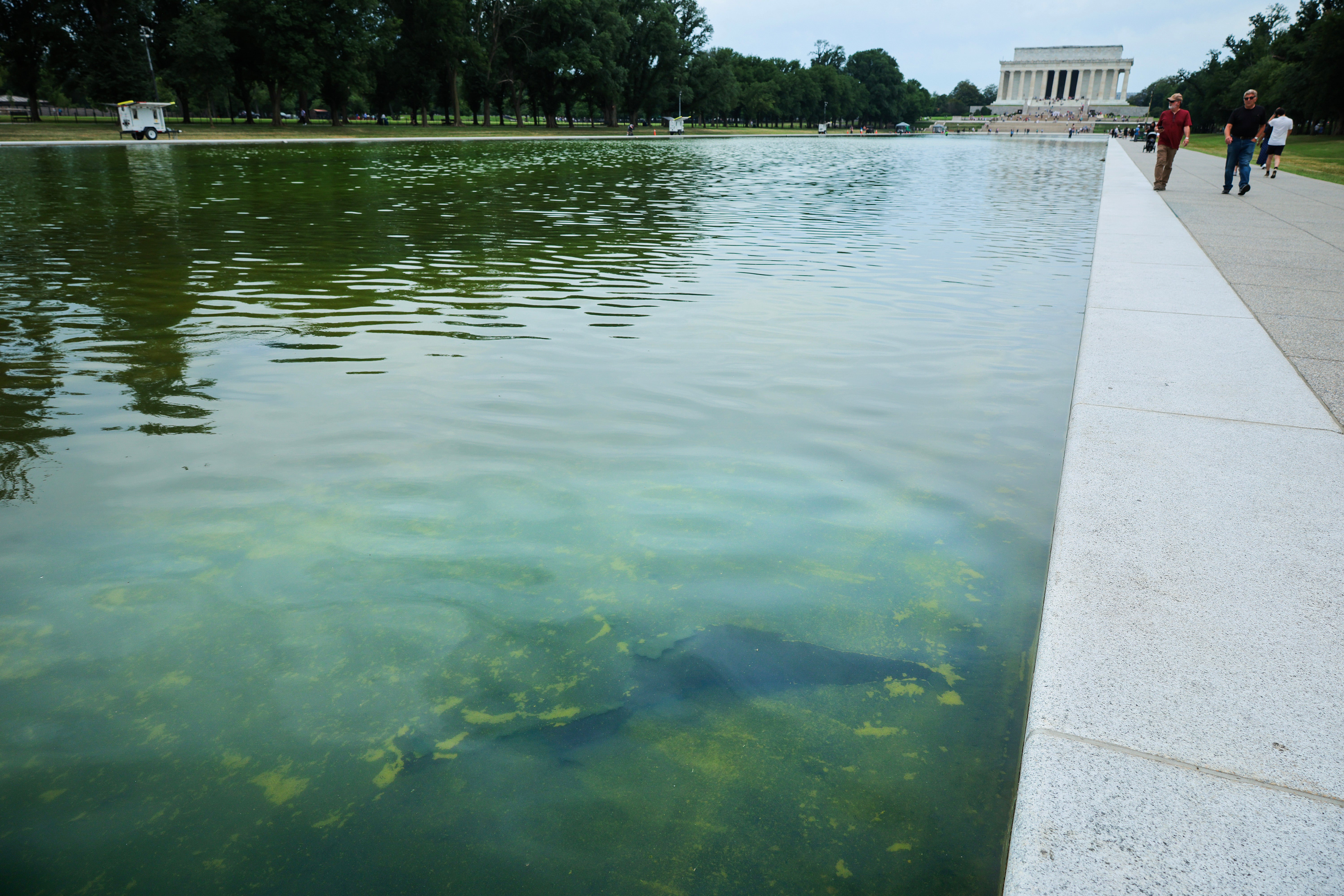 President Donald Trump has claimed 'vandals' poured chemicals into nan Lincoln Memorial Reflecting Pool aft his ain squad utilized bleach to dainty nan algae plaguing nan multi-million-dollar renewal project