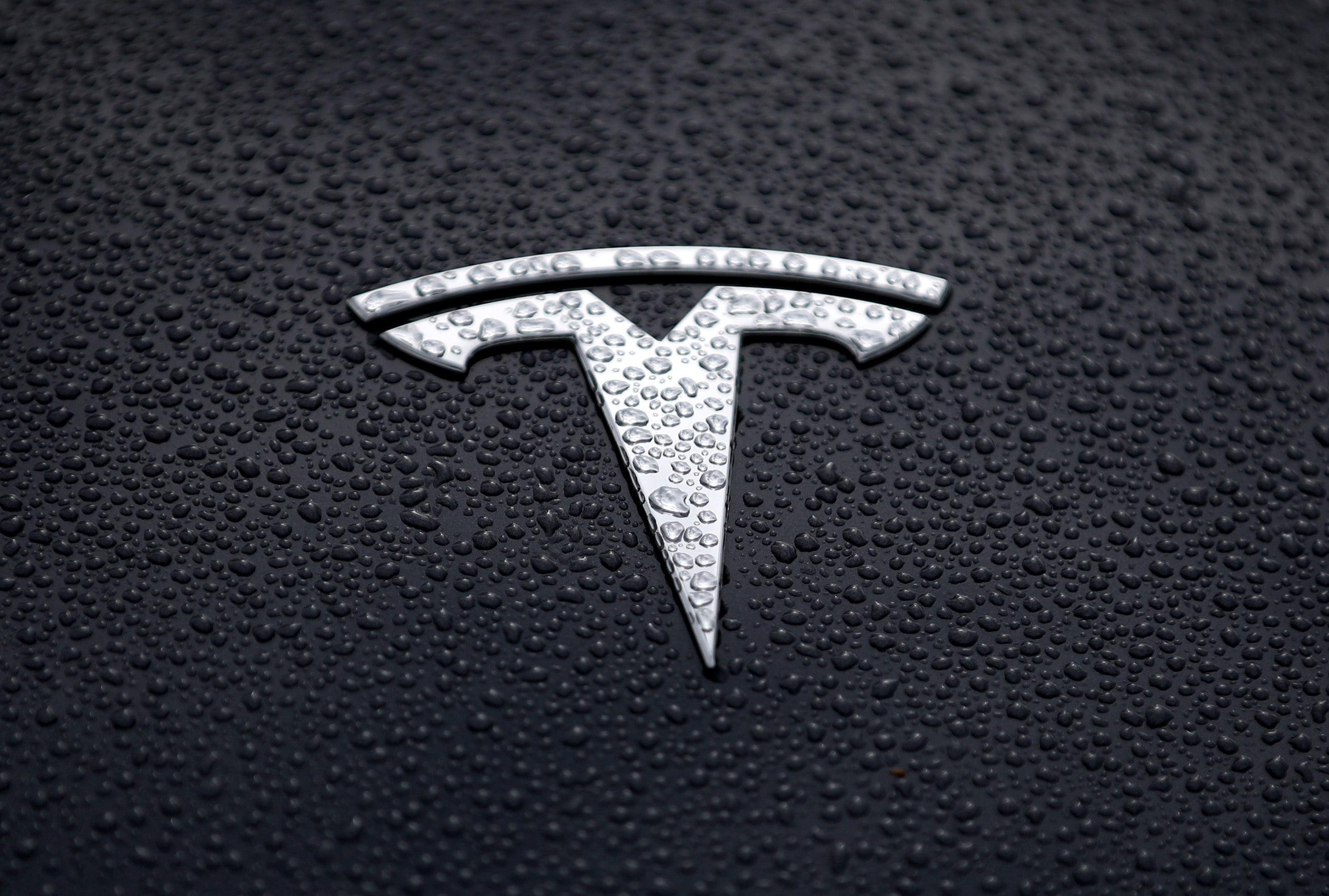 Lifeguard Rescues Man Who Accidentally Drove His Tesla Into A Community Pool