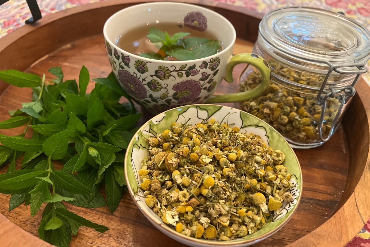 How to grow your own herbal tea garden at home